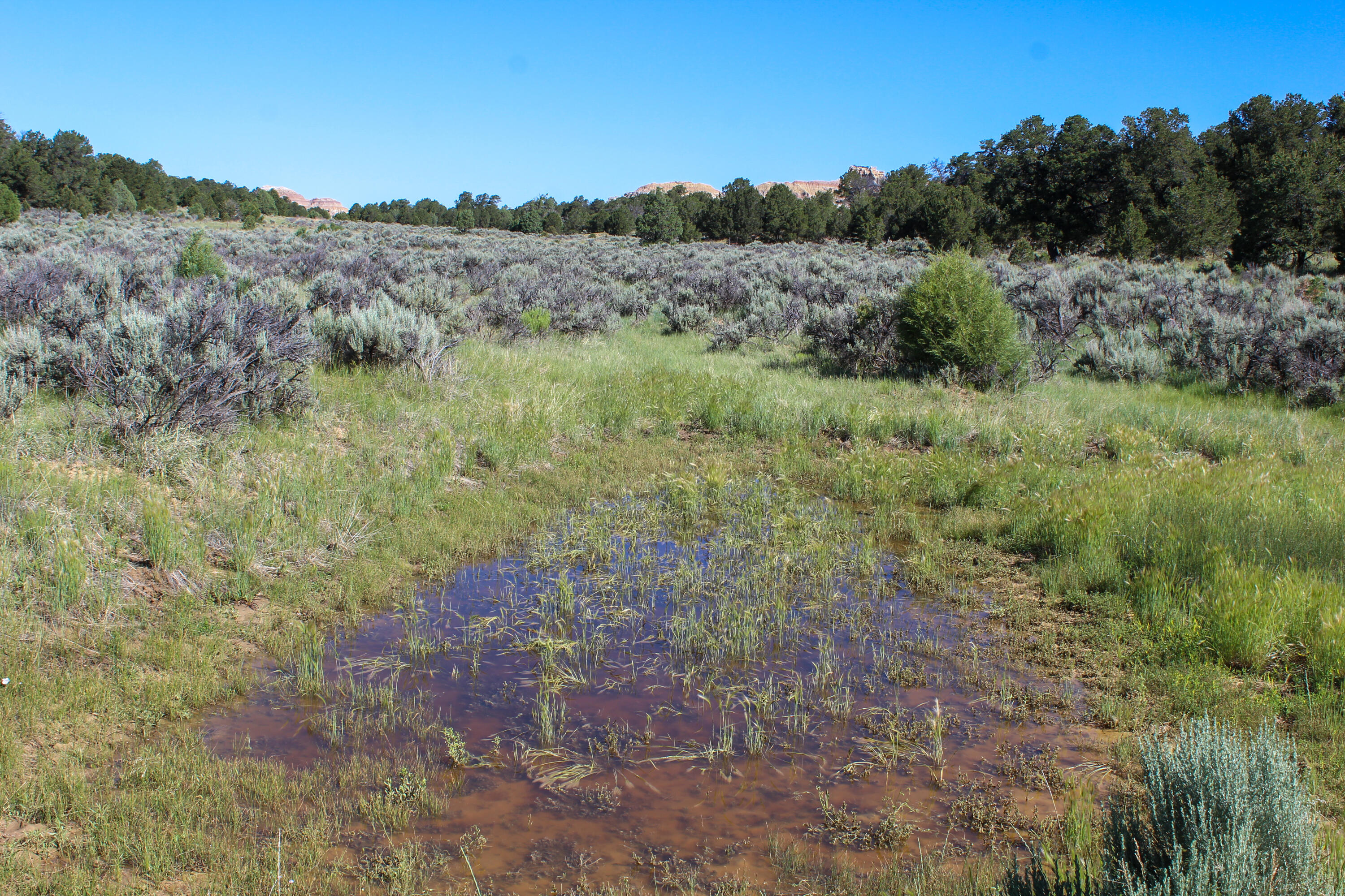 Tbd Nm State Road 96, Regina, New Mexico image 49