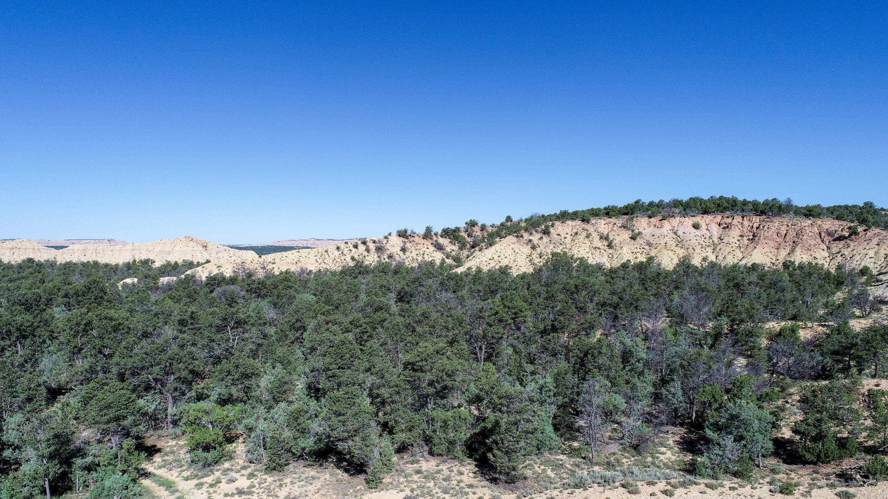 Tbd Nm State Road 96, Regina, New Mexico image 5