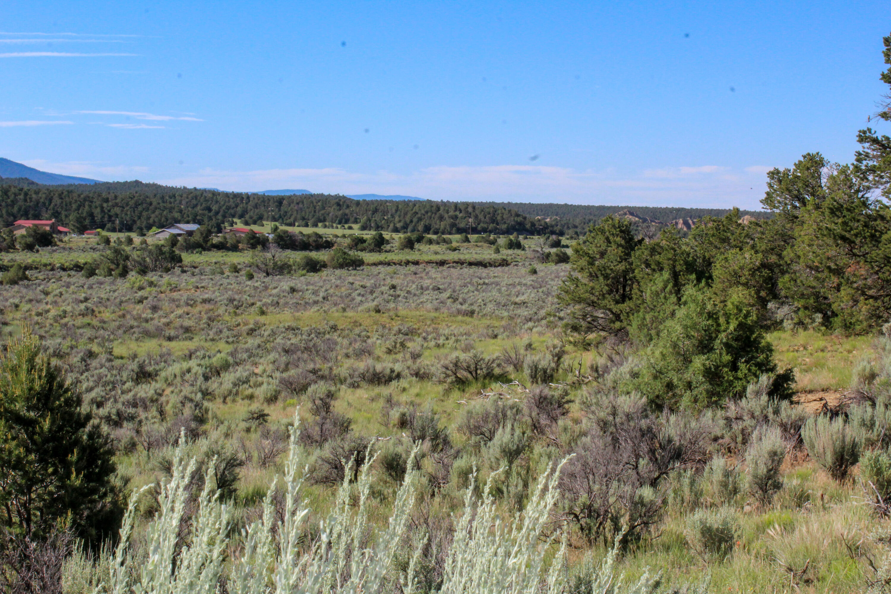 Tbd Nm State Road 96, Regina, New Mexico image 35