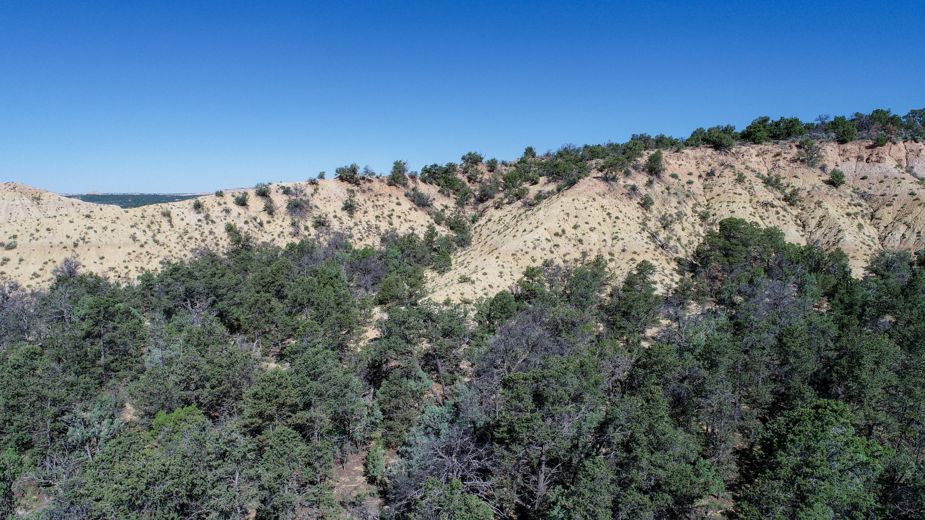 Tbd Nm State Road 96, Regina, New Mexico image 12