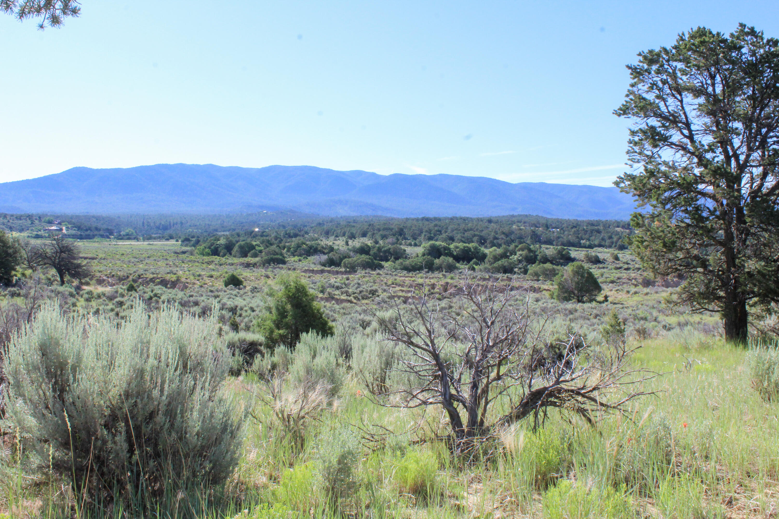 Tbd Nm State Road 96, Regina, New Mexico image 32