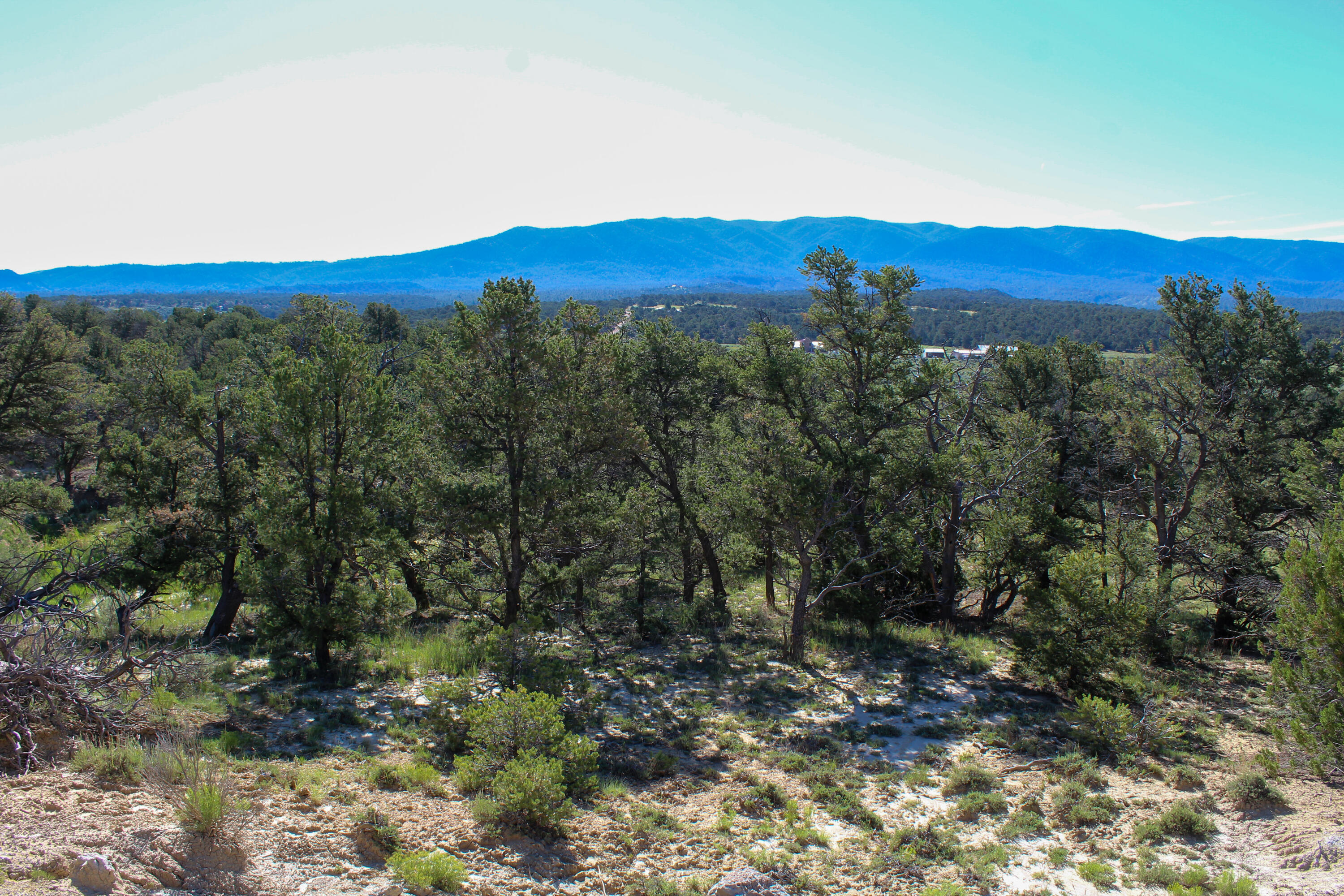 Tbd Nm State Road 96, Regina, New Mexico image 8