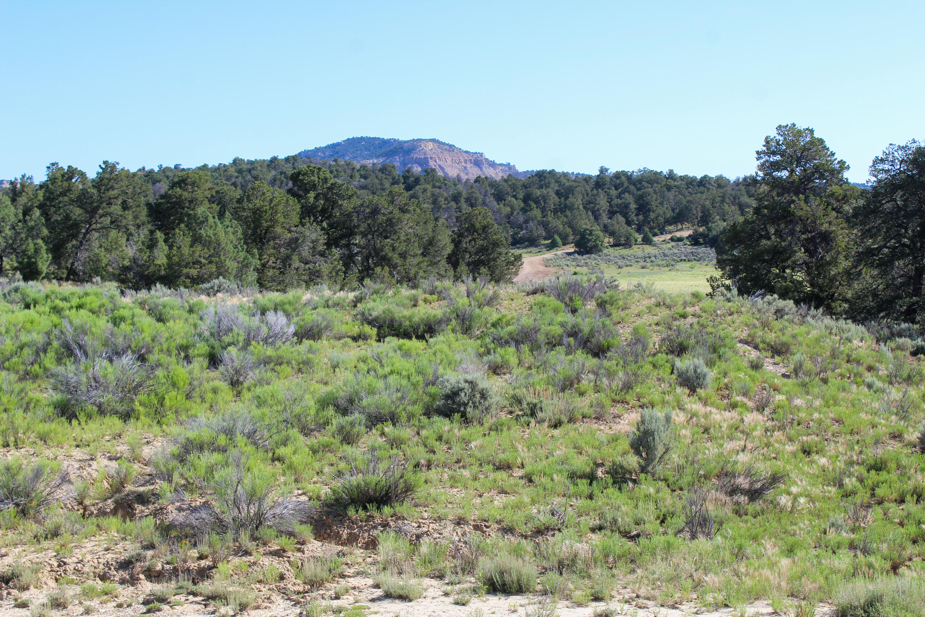 Tbd Nm State Road 96, Regina, New Mexico image 38