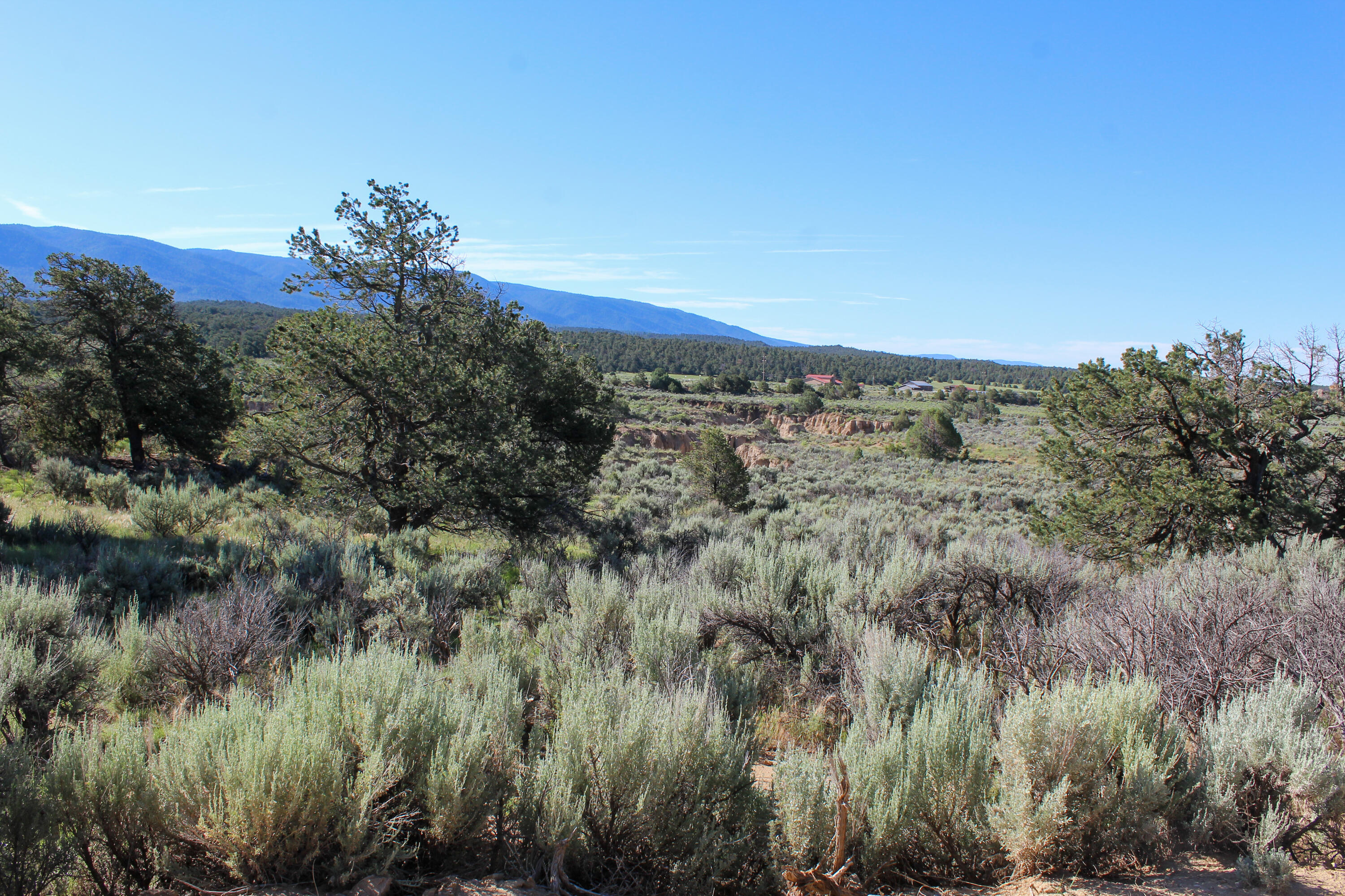 Tbd Nm State Road 96, Regina, New Mexico image 26