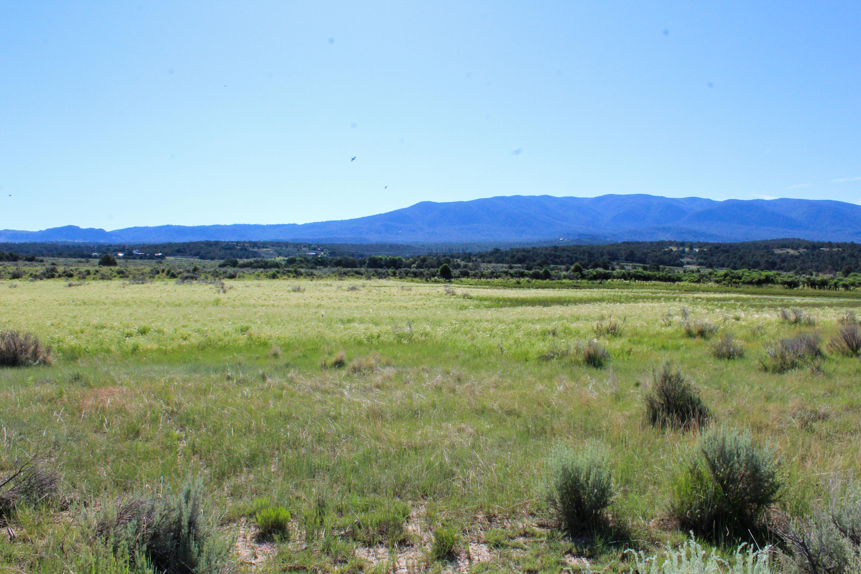 Tbd Nm State Road 96, Regina, New Mexico image 36