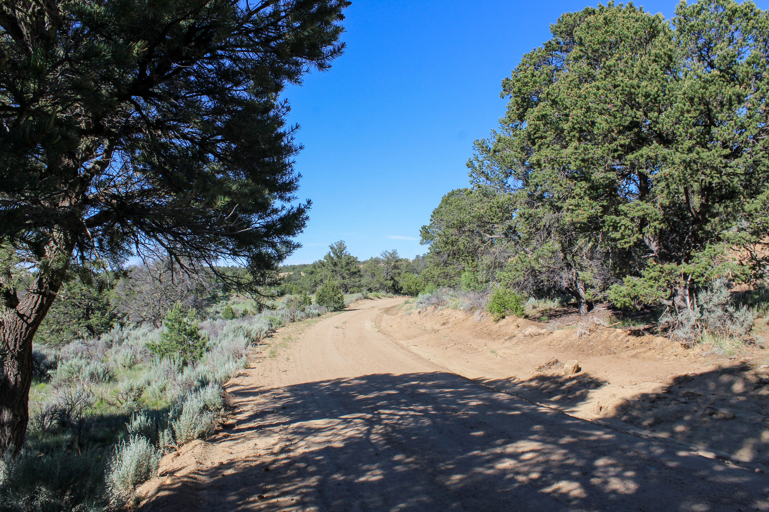 Tbd Nm State Road 96, Regina, New Mexico image 25