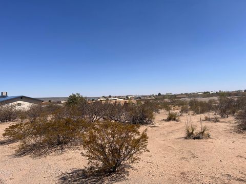 Vacant Land For Sale - 204 Olympic Street<br/> Elephant Butte, NM 87935