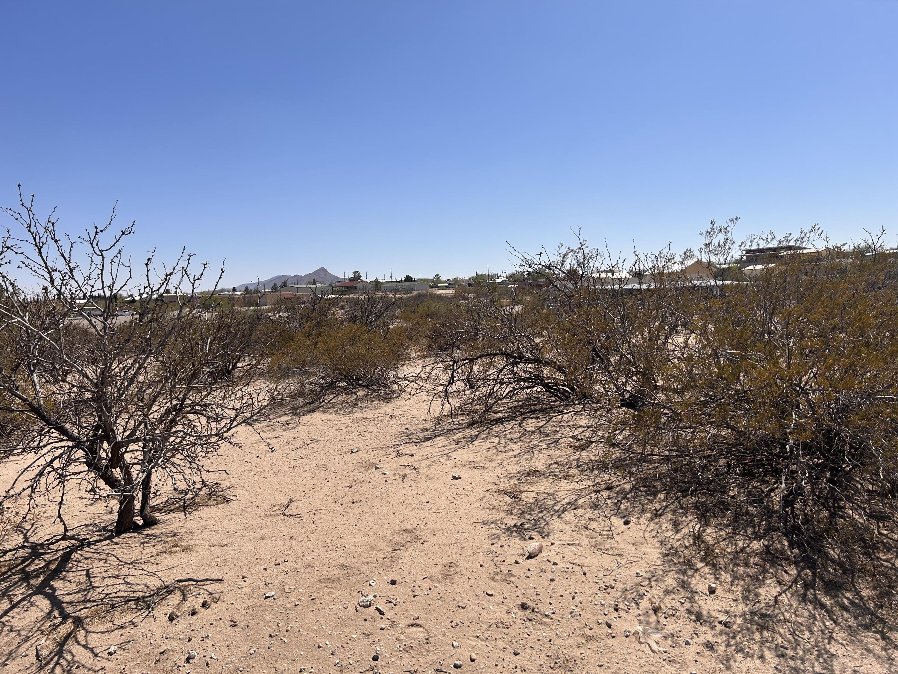 204 Olympic Street, Elephant Butte, New Mexico image 2