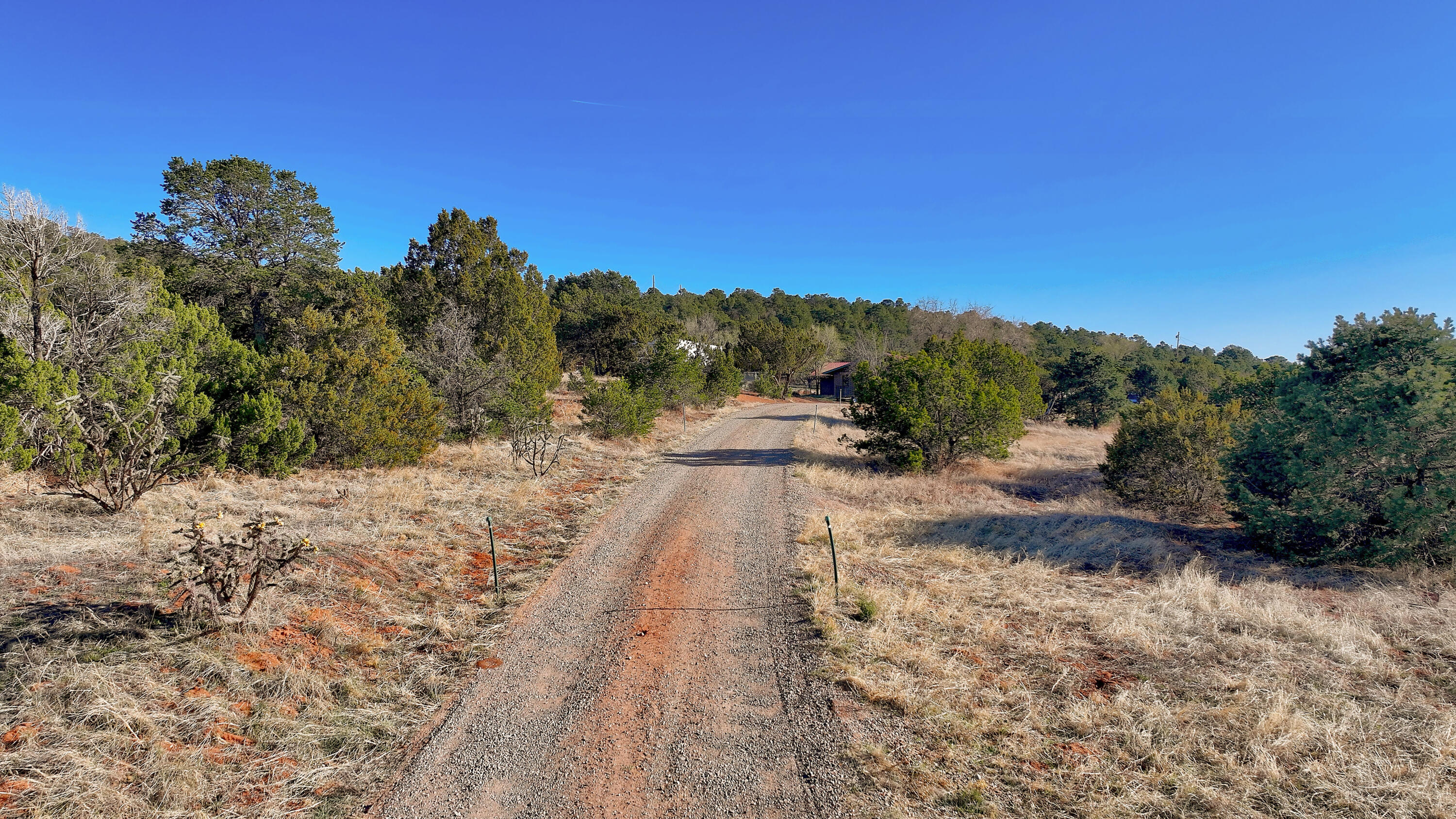 56 Hobart Road, Tijeras, New Mexico image 33