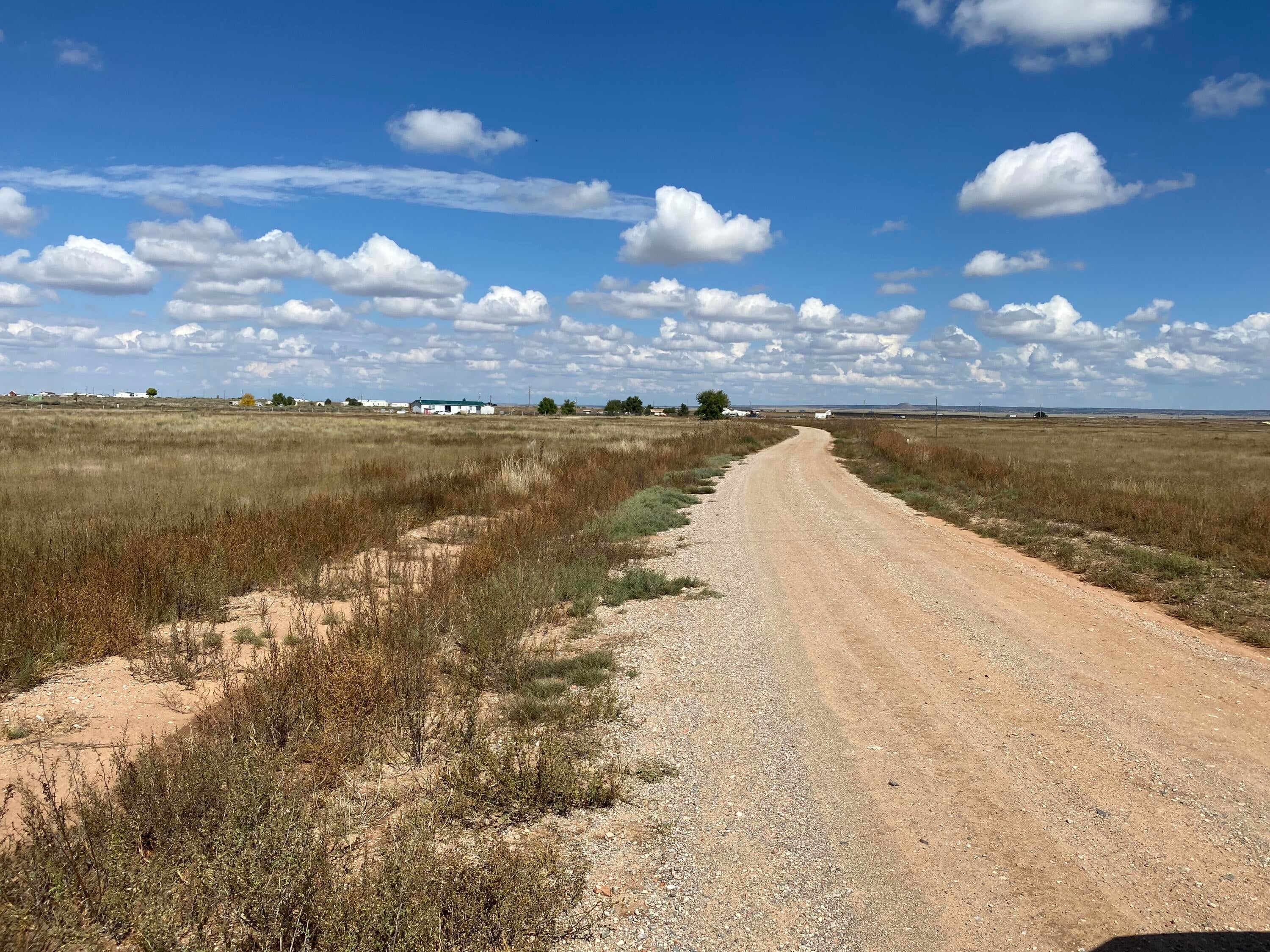 Yucca Lane