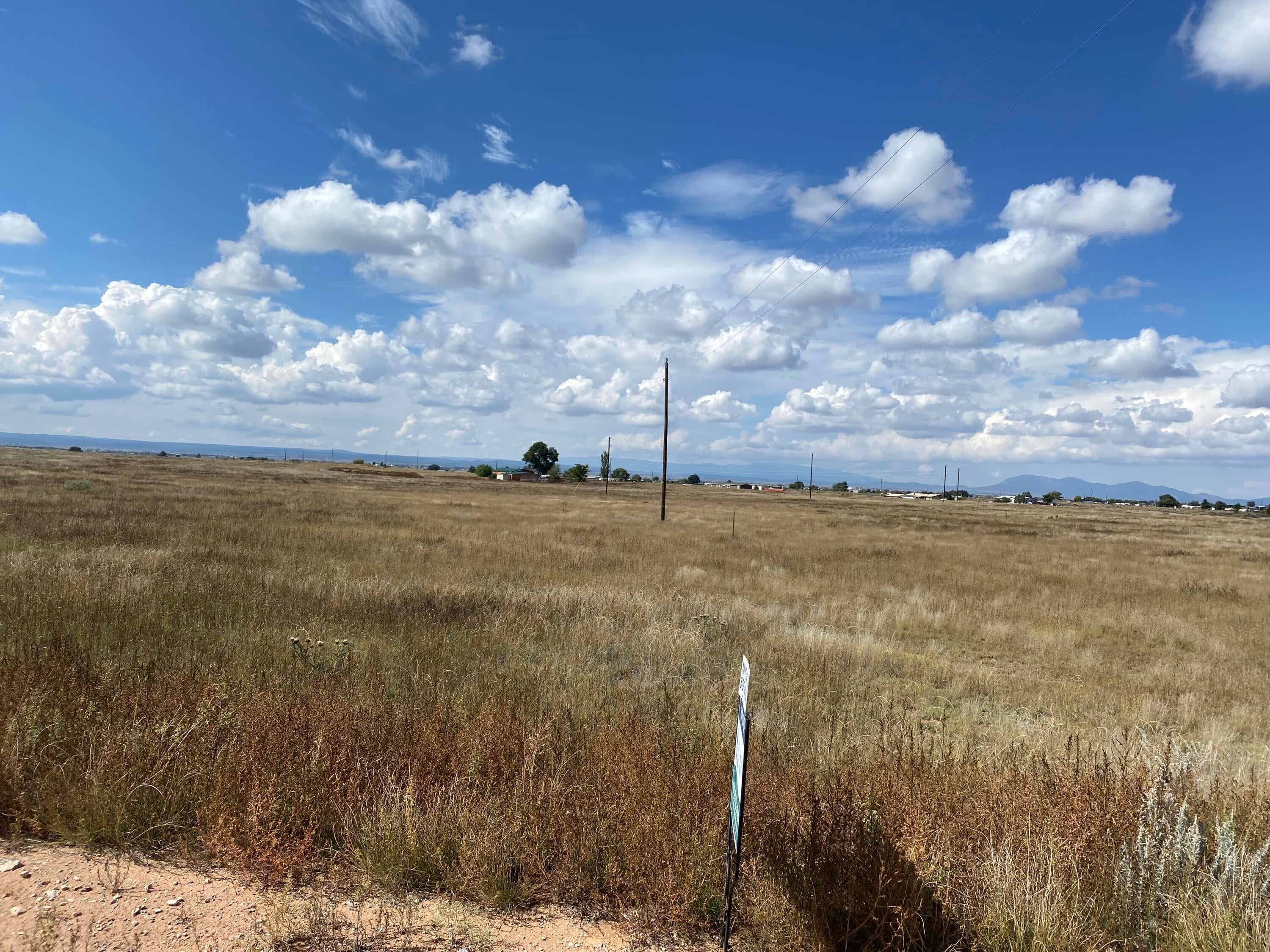 Yucca Lane