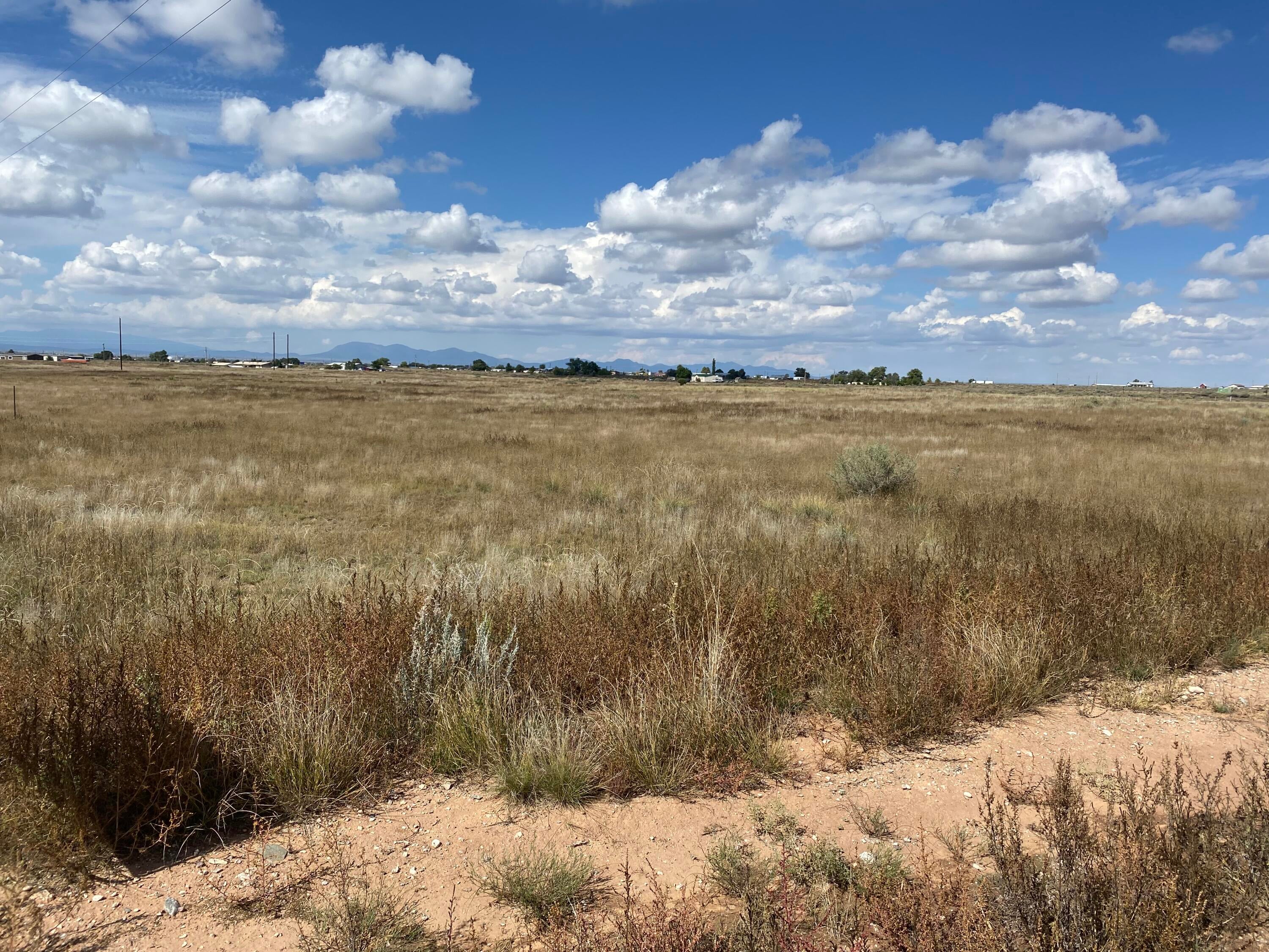 Yucca Lane