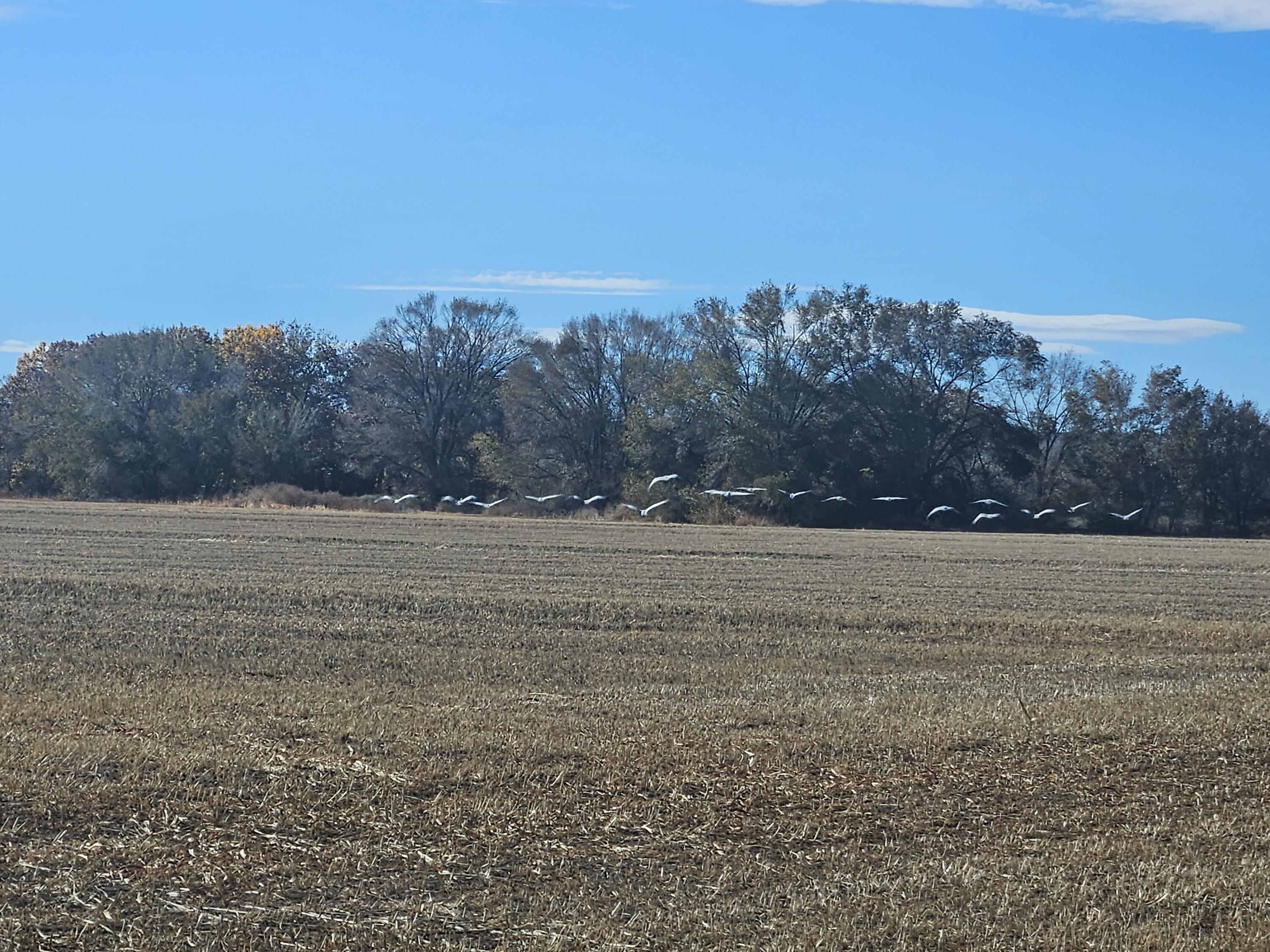 66 Padilla Road, Belen, New Mexico image 2