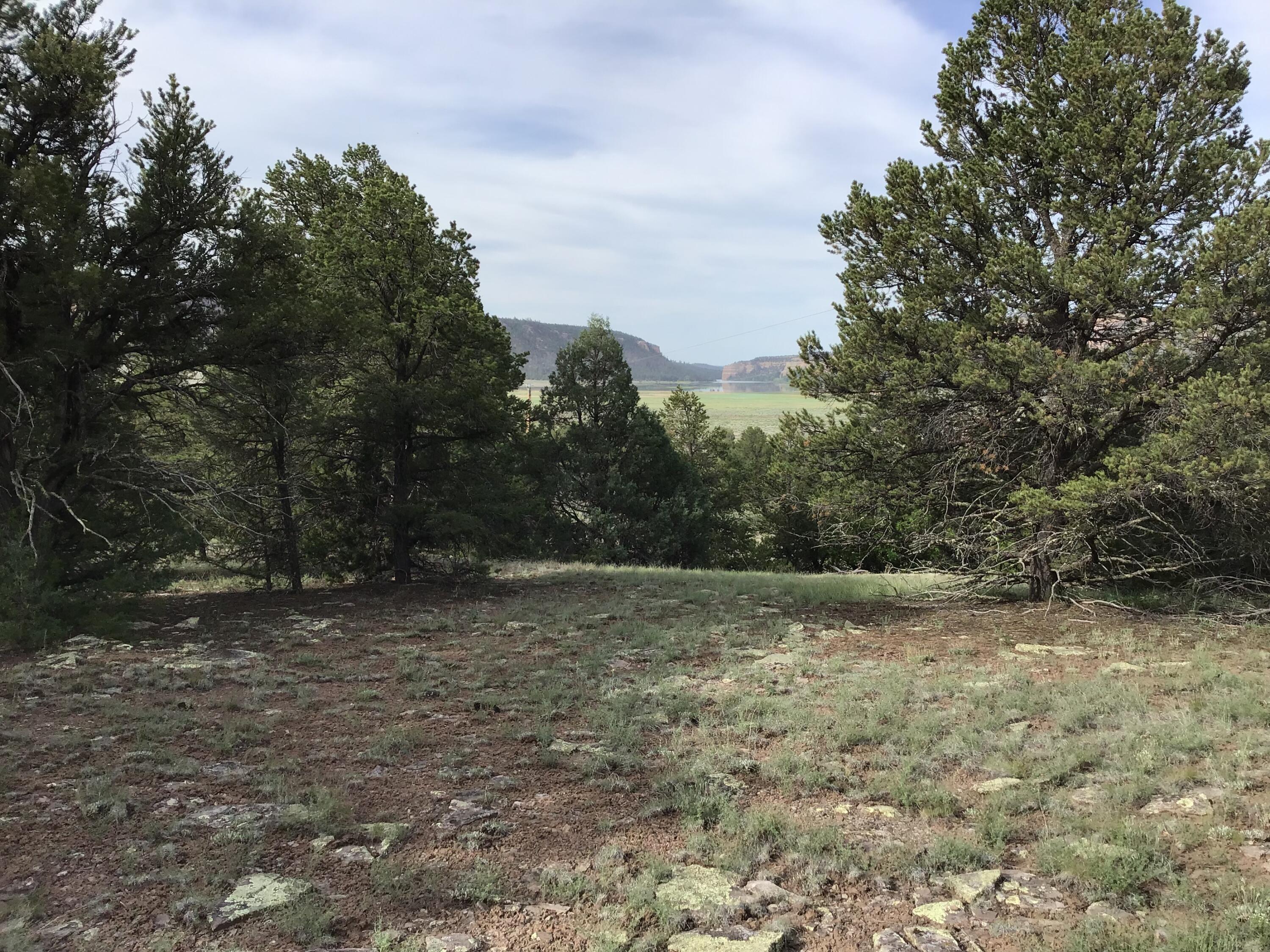 Lot 6 Sunflower Drive, Ramah, New Mexico image 3