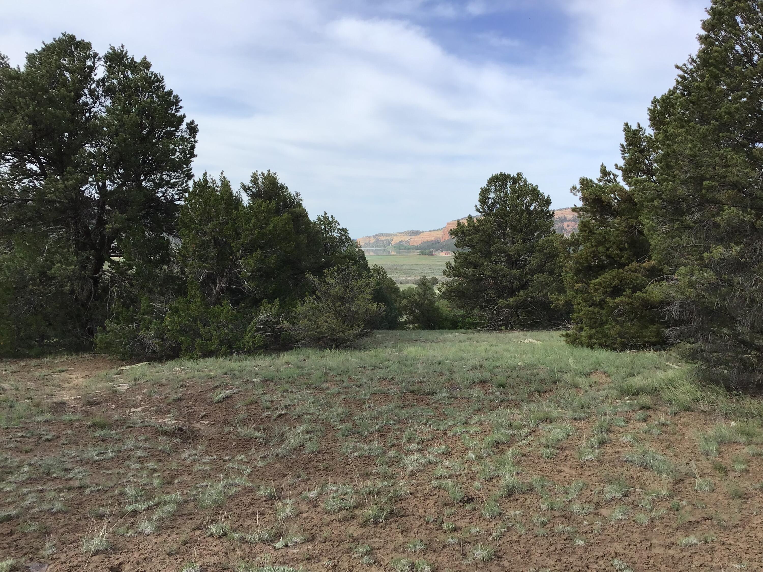 Lot 6 Sunflower Drive, Ramah, New Mexico image 24