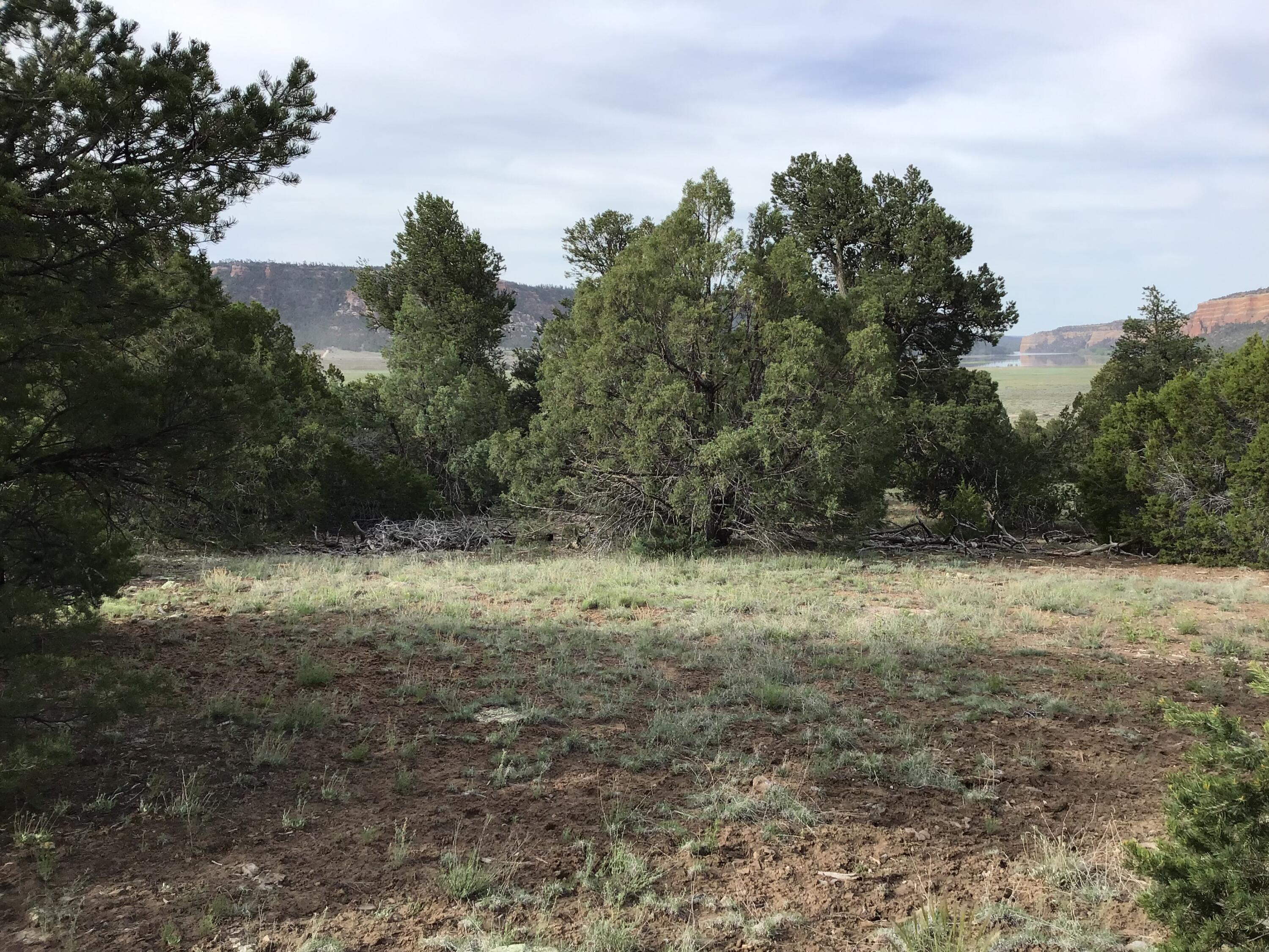 Lot 6 Sunflower Drive, Ramah, New Mexico image 16