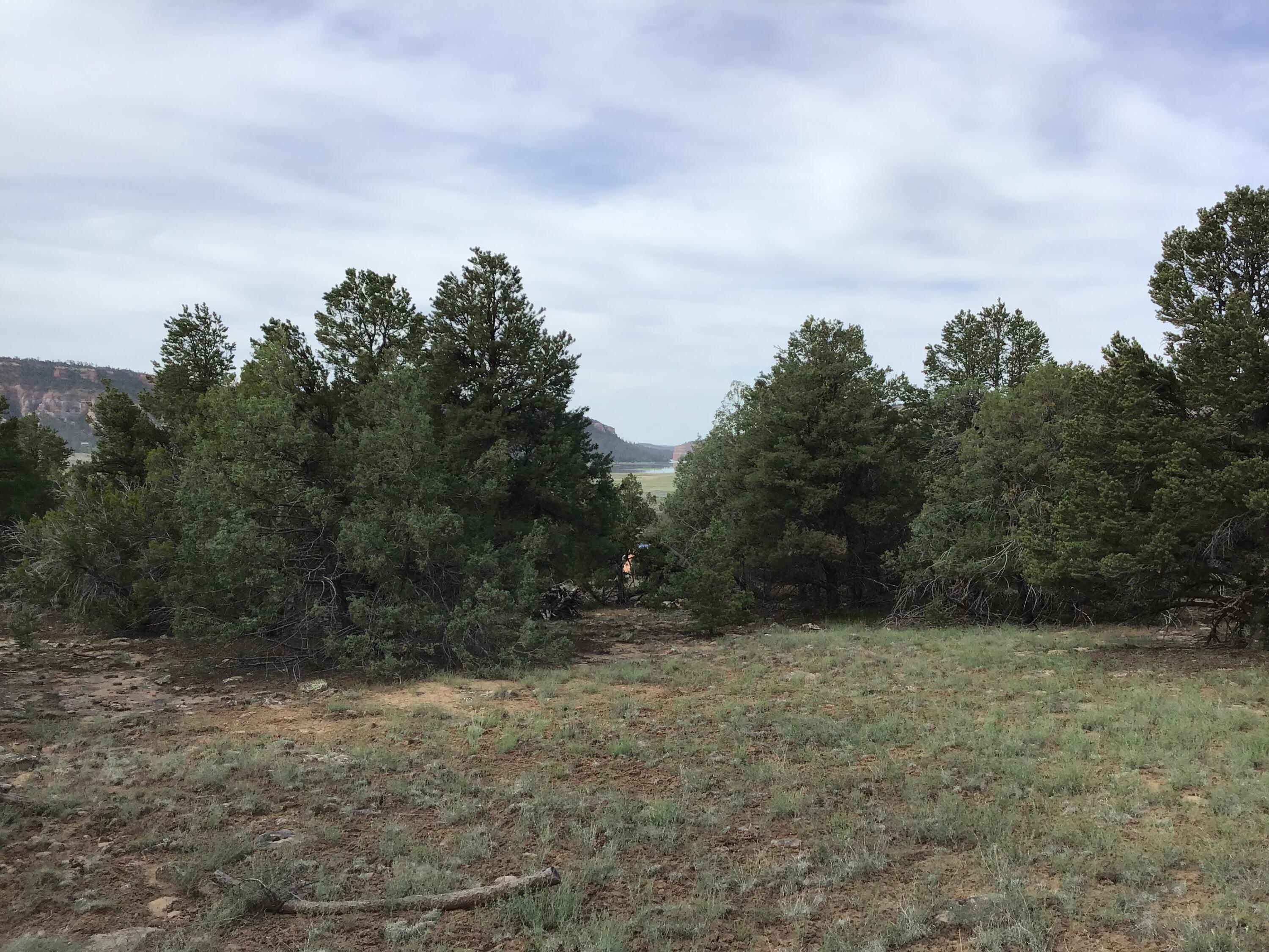 Lot 6 Sunflower Drive, Ramah, New Mexico image 10