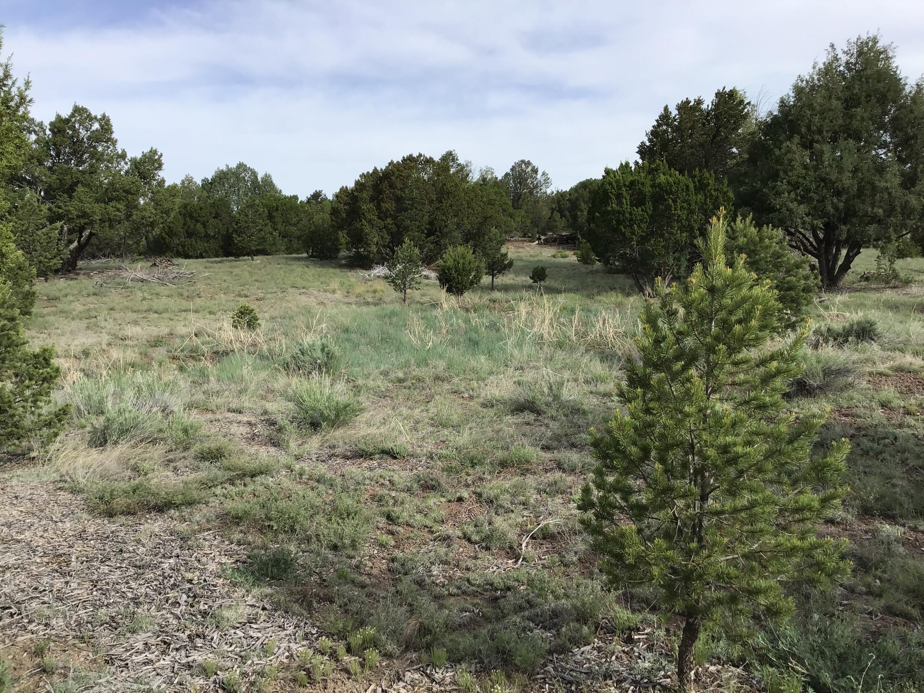 Lot 6 Sunflower Drive, Ramah, New Mexico image 39