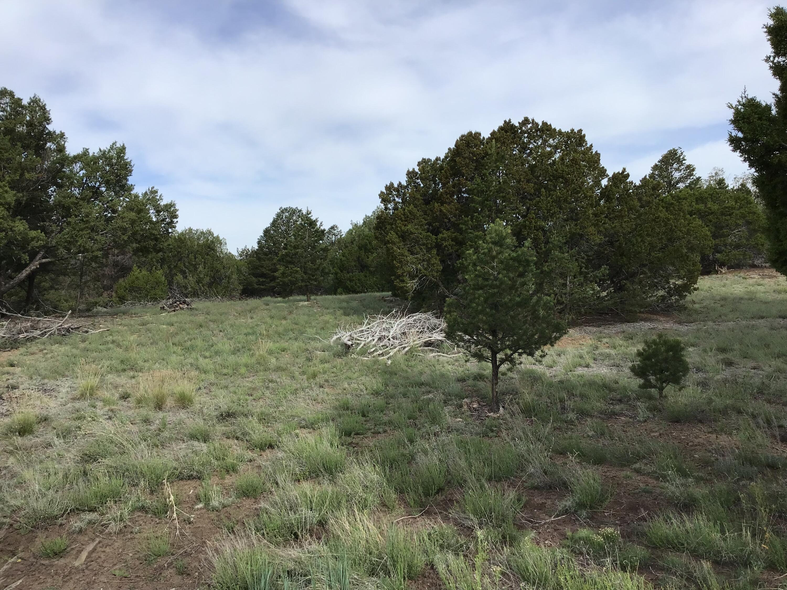 Lot 6 Sunflower Drive, Ramah, New Mexico image 7