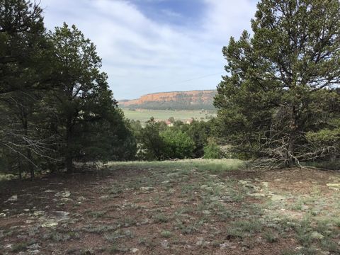 Vacant Land For Sale - LOT 6 Sunflower Drive<br/> Ramah, NM 87321