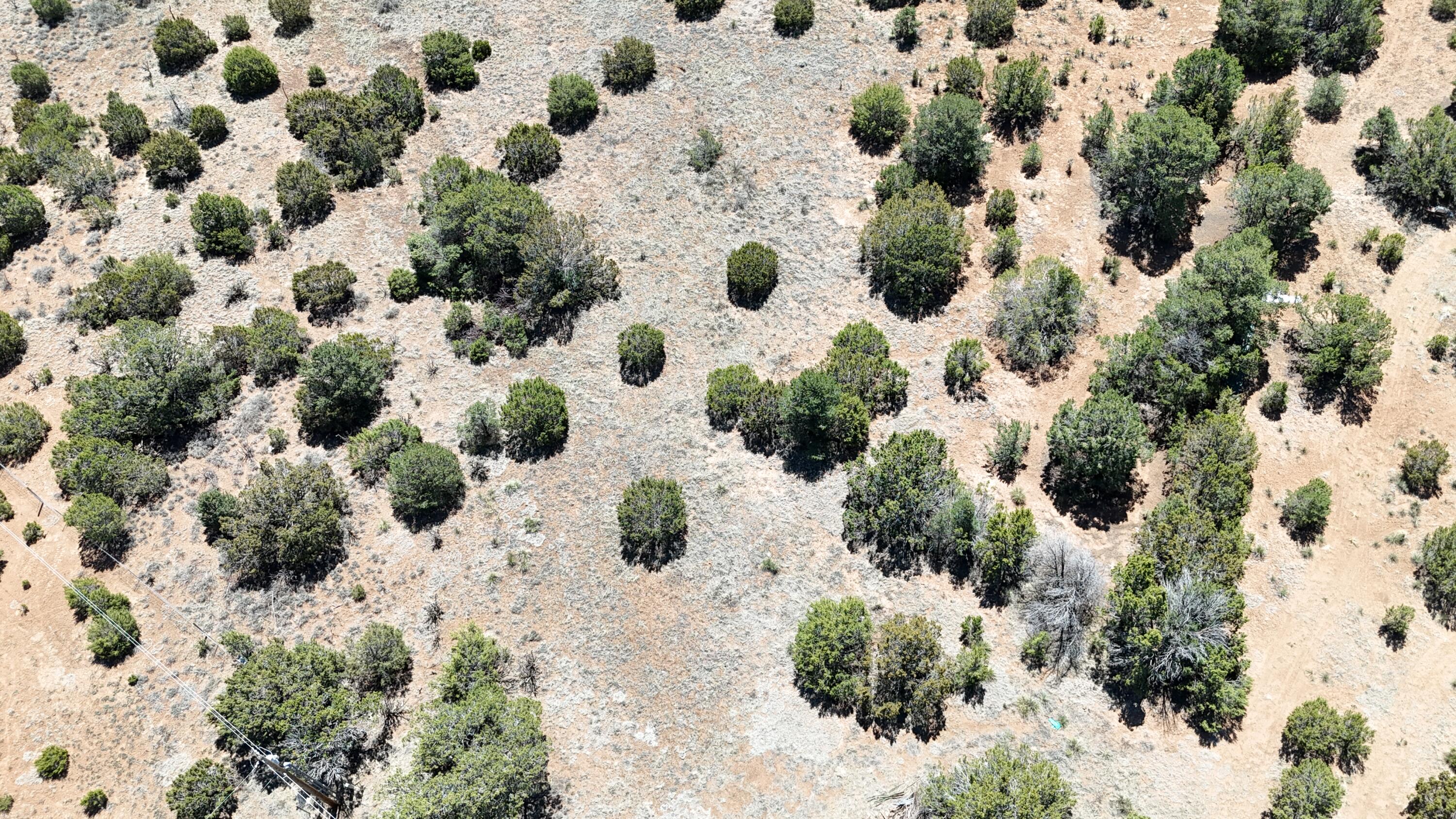 13 Shiba Lane, Tijeras, New Mexico image 14