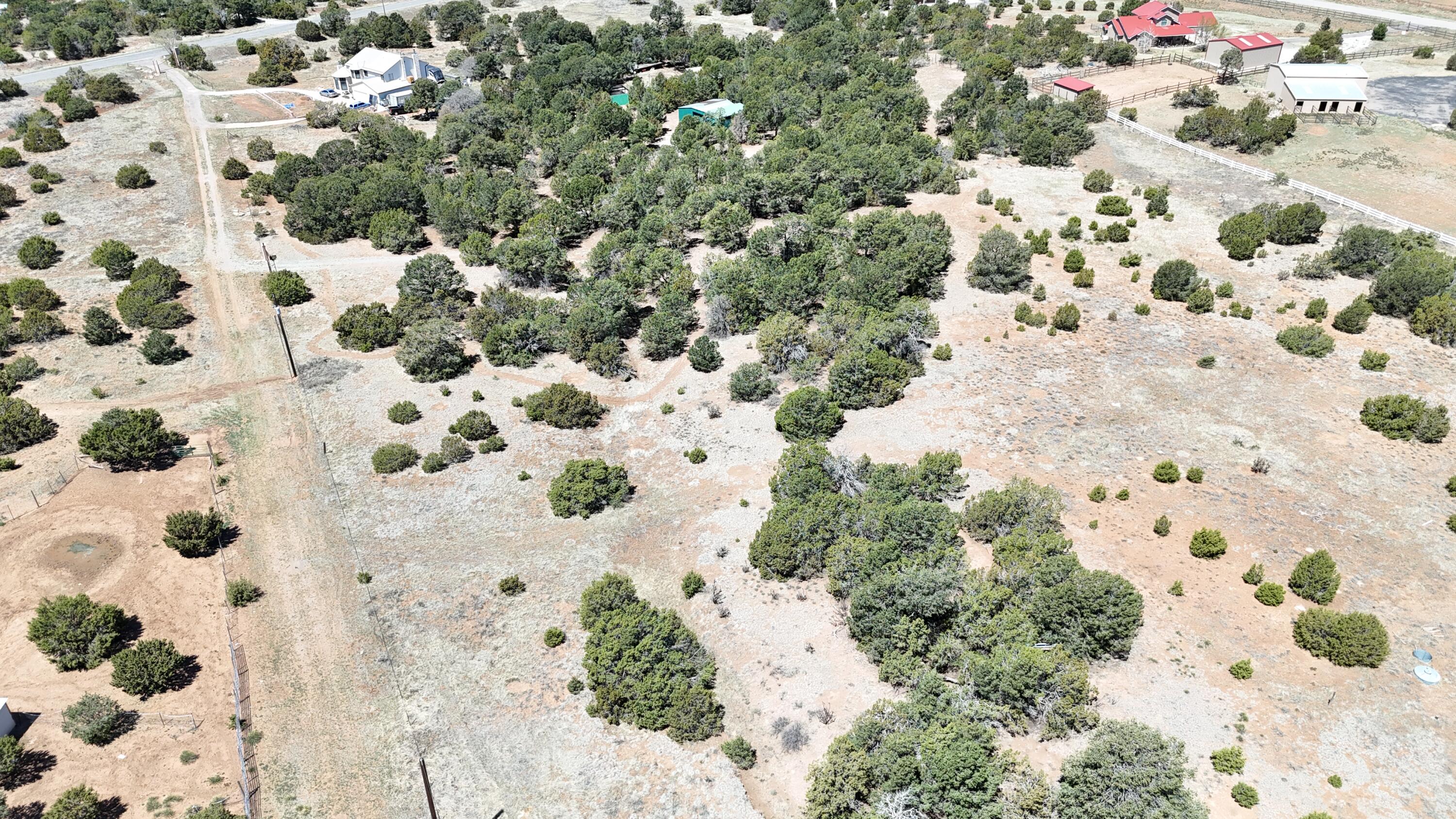 13 Shiba Lane, Tijeras, New Mexico image 11