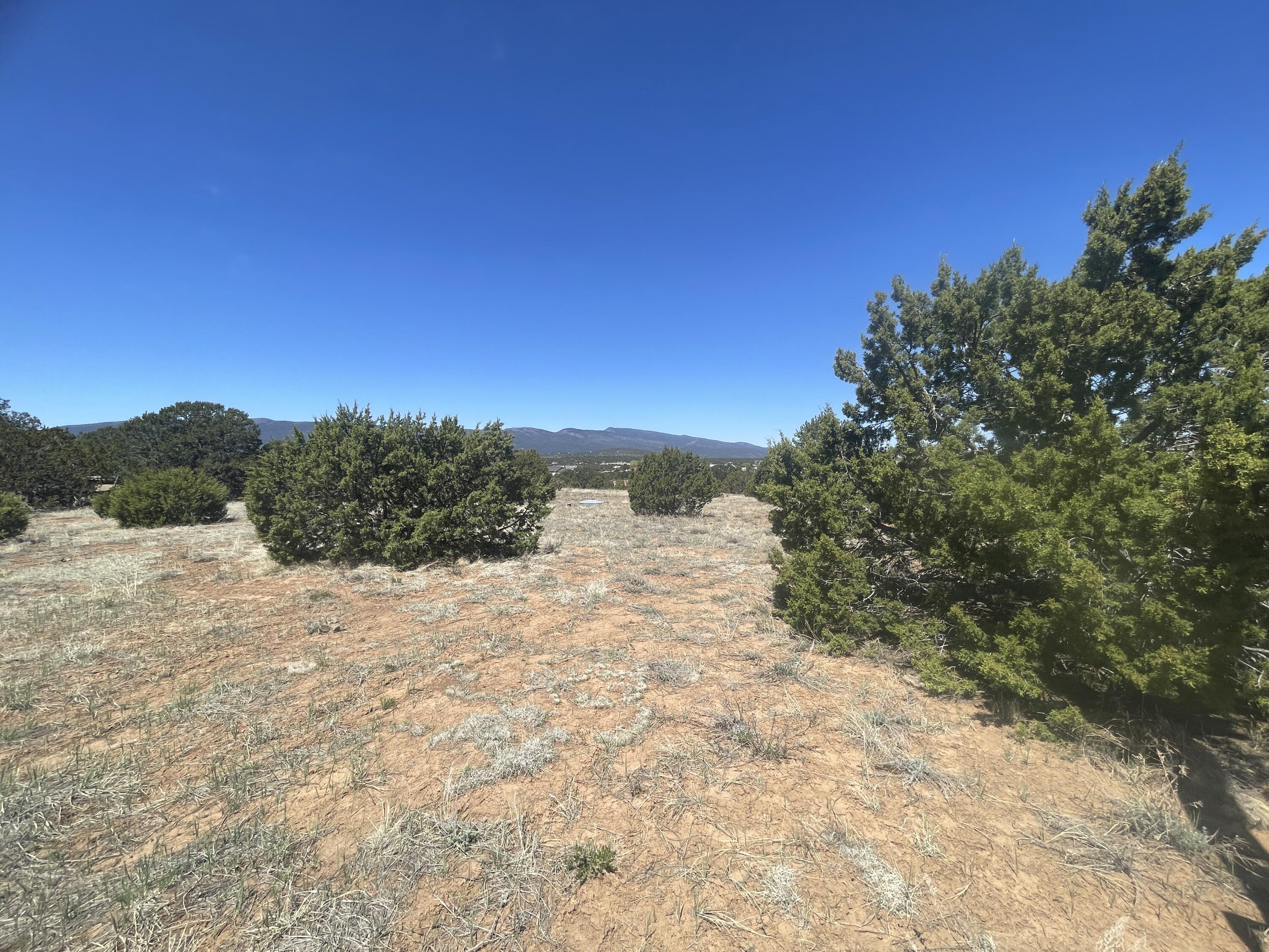 13 Shiba Lane, Tijeras, New Mexico image 6