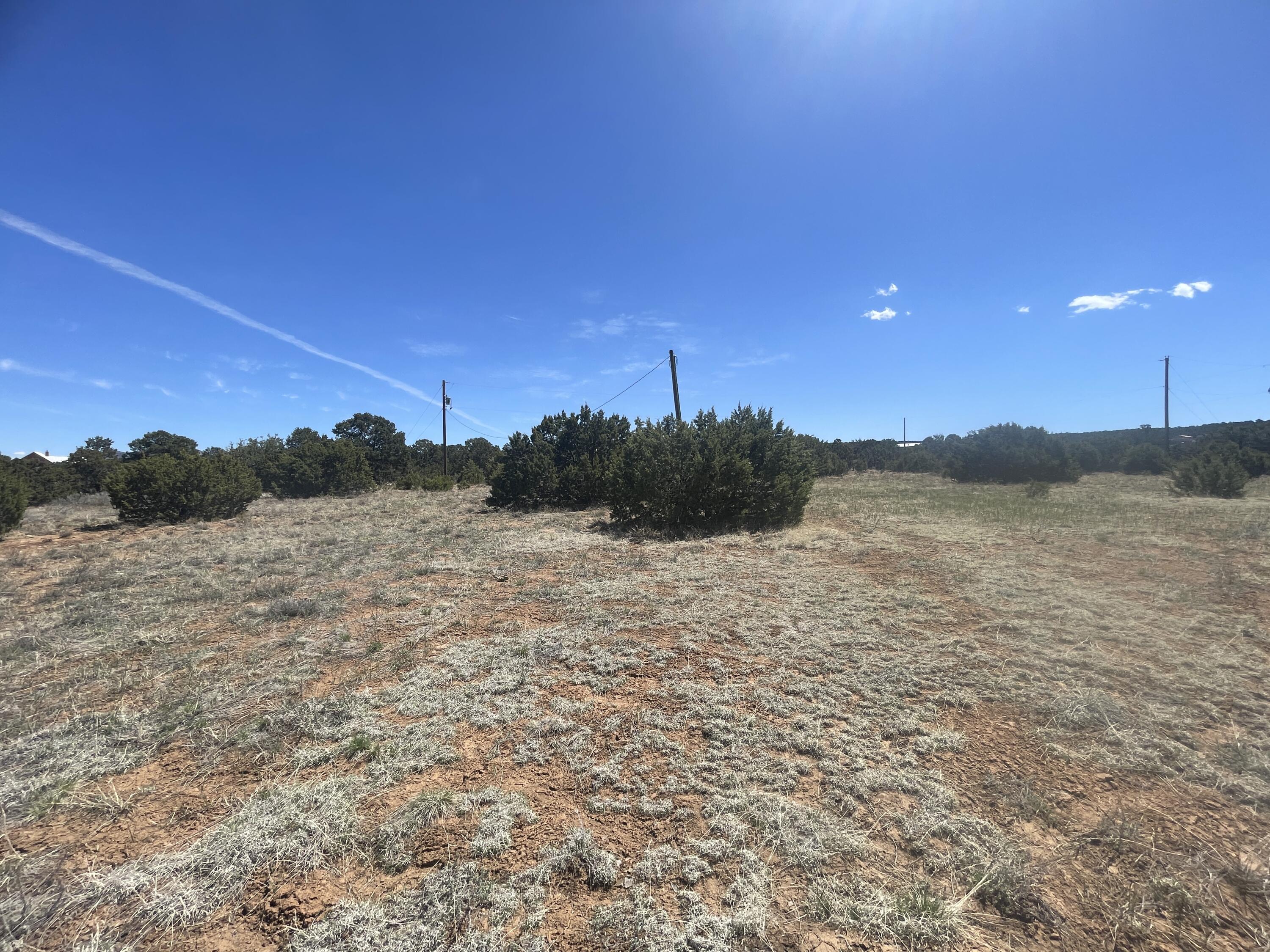 13 Shiba Lane, Tijeras, New Mexico image 1
