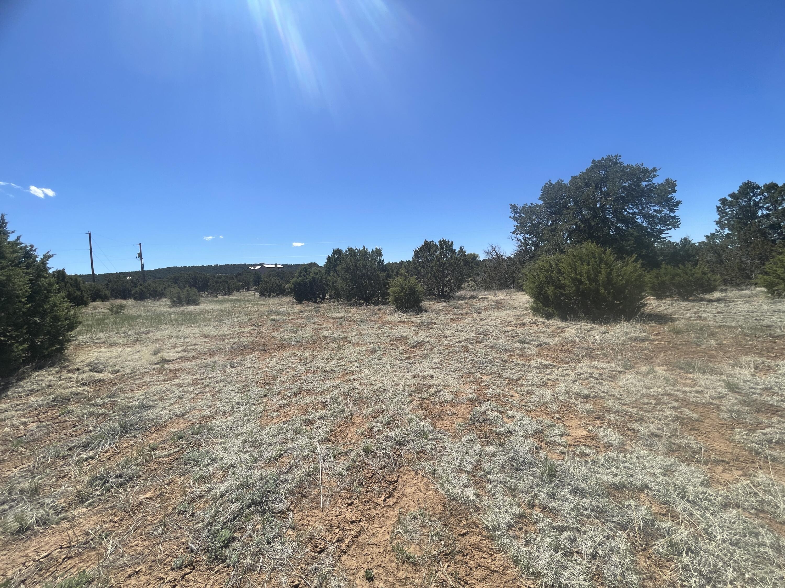 13 Shiba Lane, Tijeras, New Mexico image 2