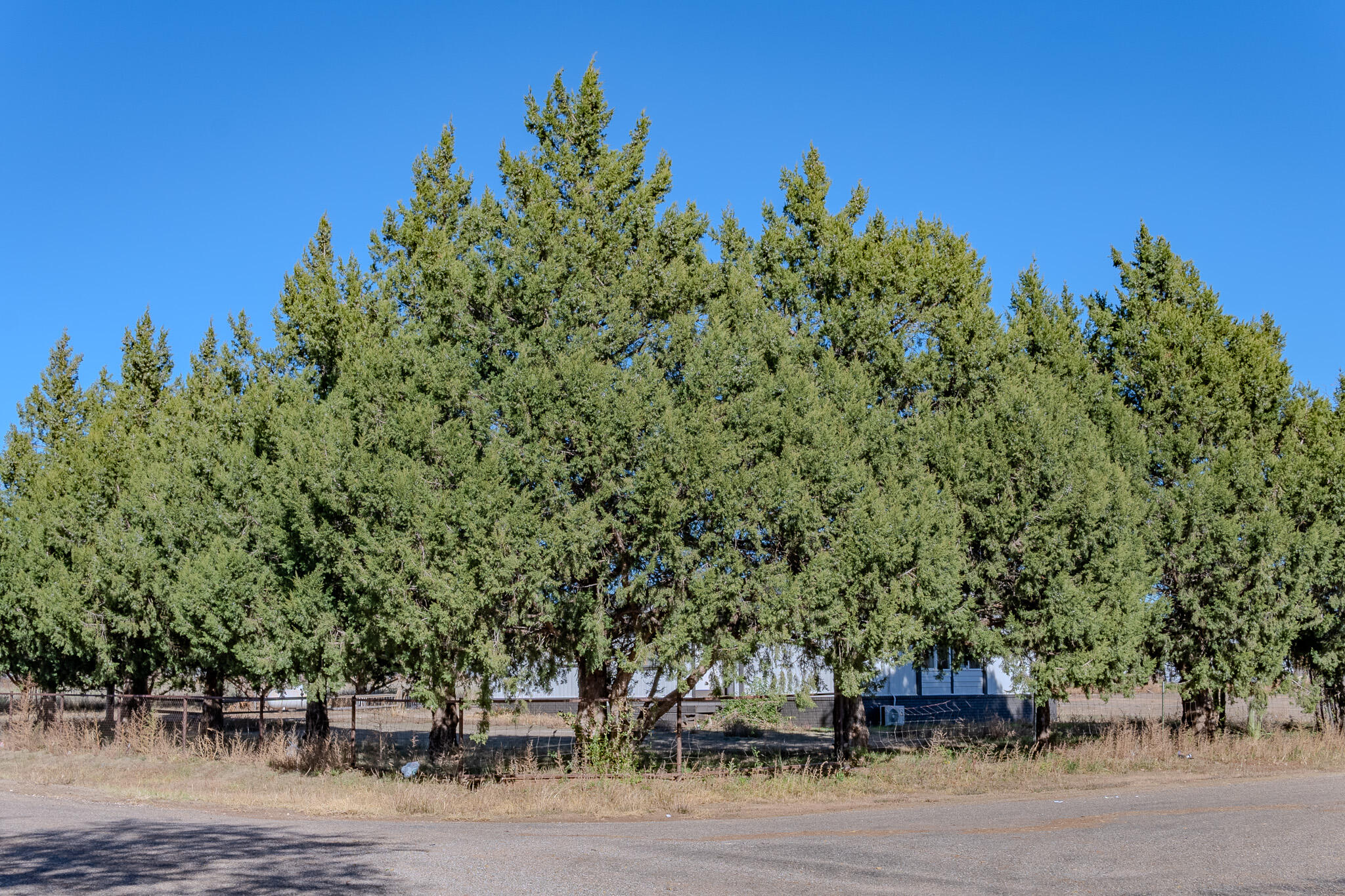 317 Frontier Road, Clovis, New Mexico image 27