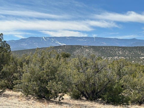 Vacant Land For Sale - 3 Anasazi Trail<br/> Sandia Park, NM 87047