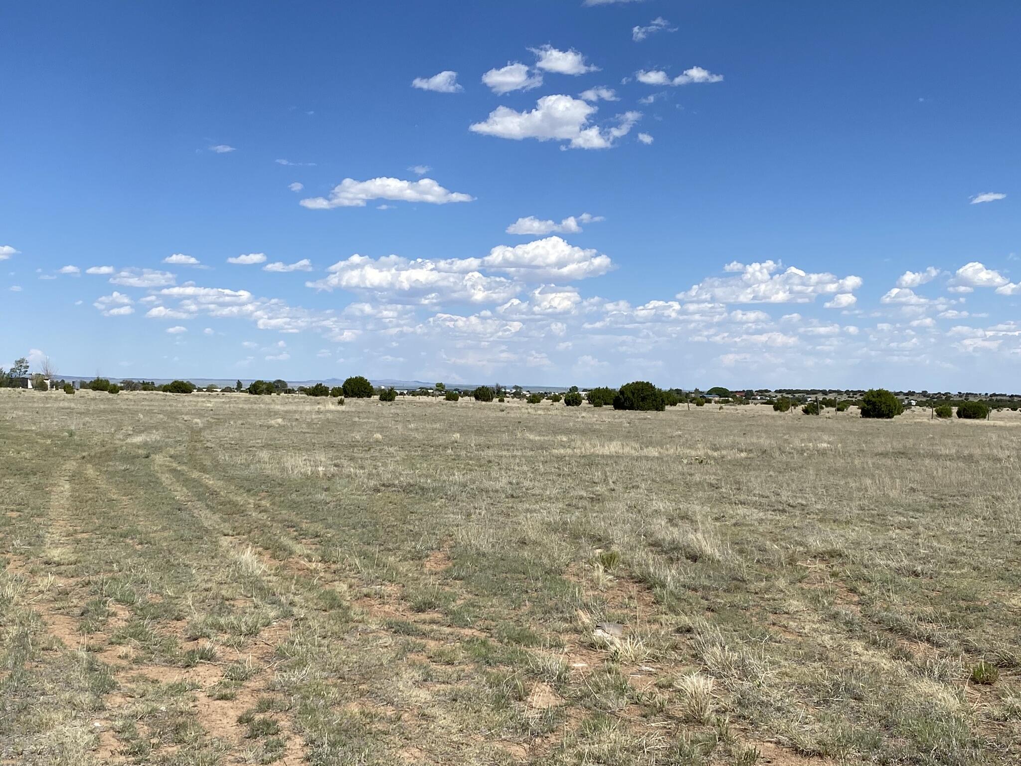 Cottonwood Road, Edgewood, New Mexico image 3