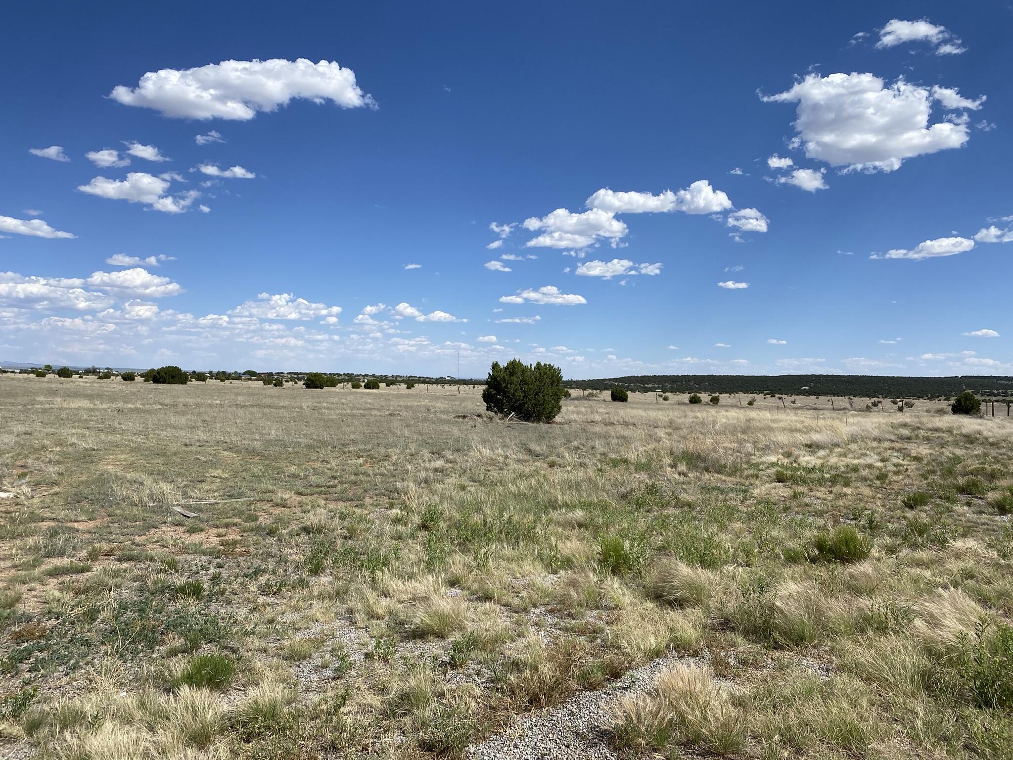 Cottonwood Road, Edgewood, New Mexico image 2