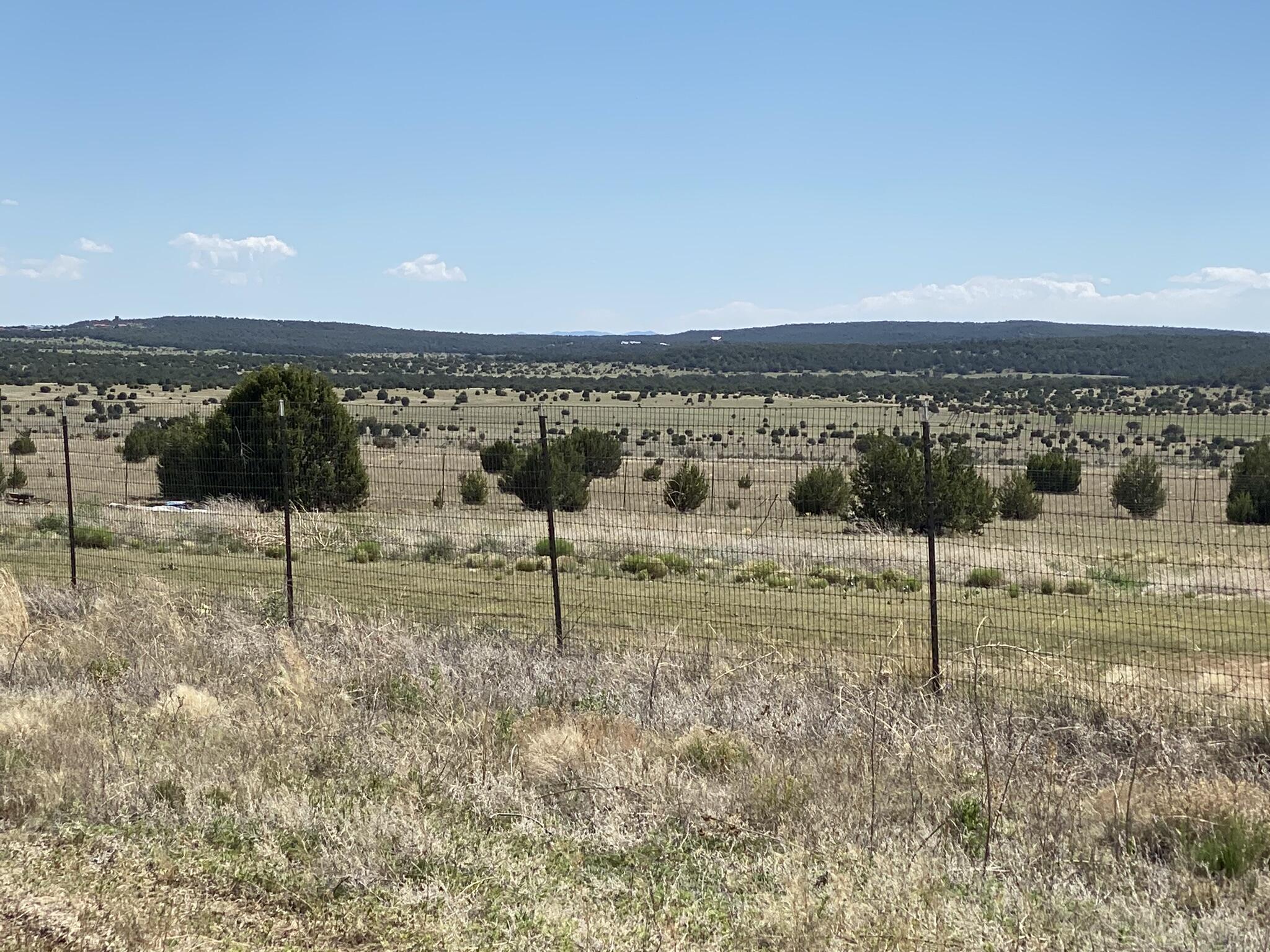 Cottonwood Road, Edgewood, New Mexico image 8