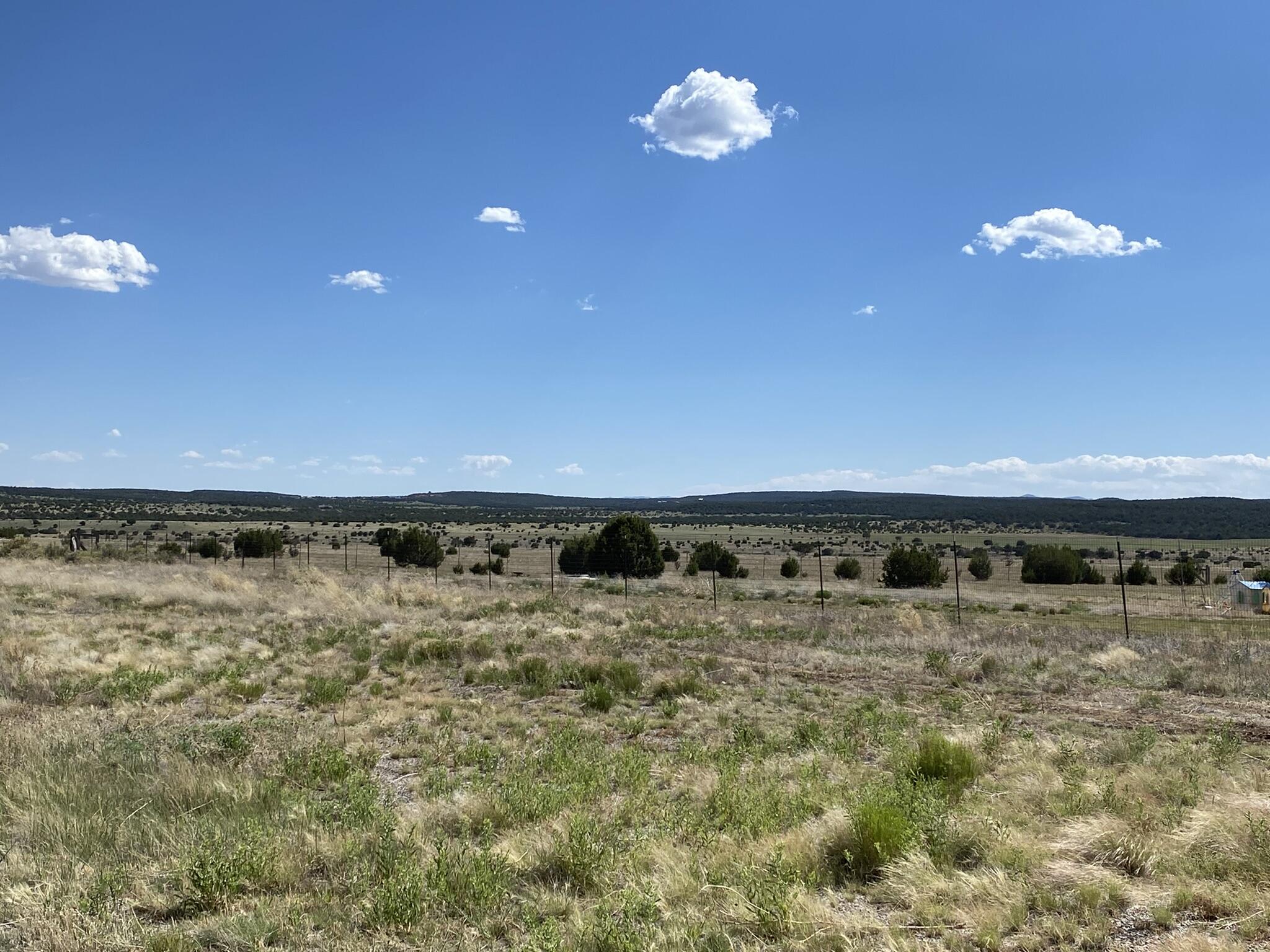 Cottonwood Road, Edgewood, New Mexico image 1