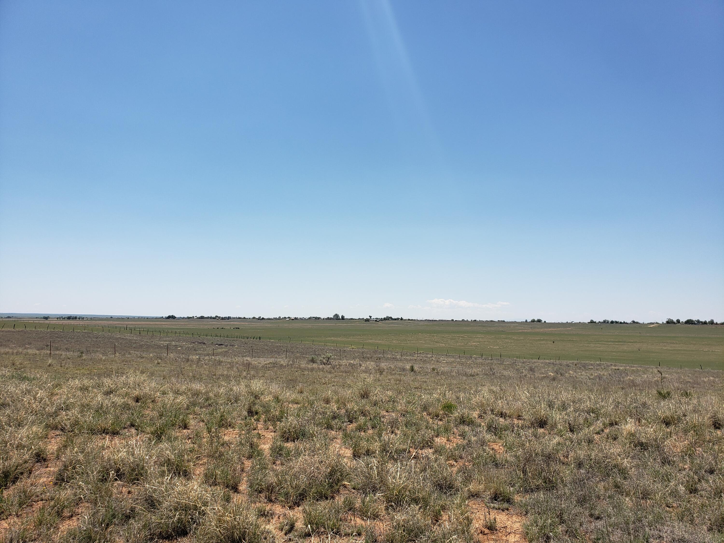 Rabbit Run Court, Moriarty, New Mexico image 3