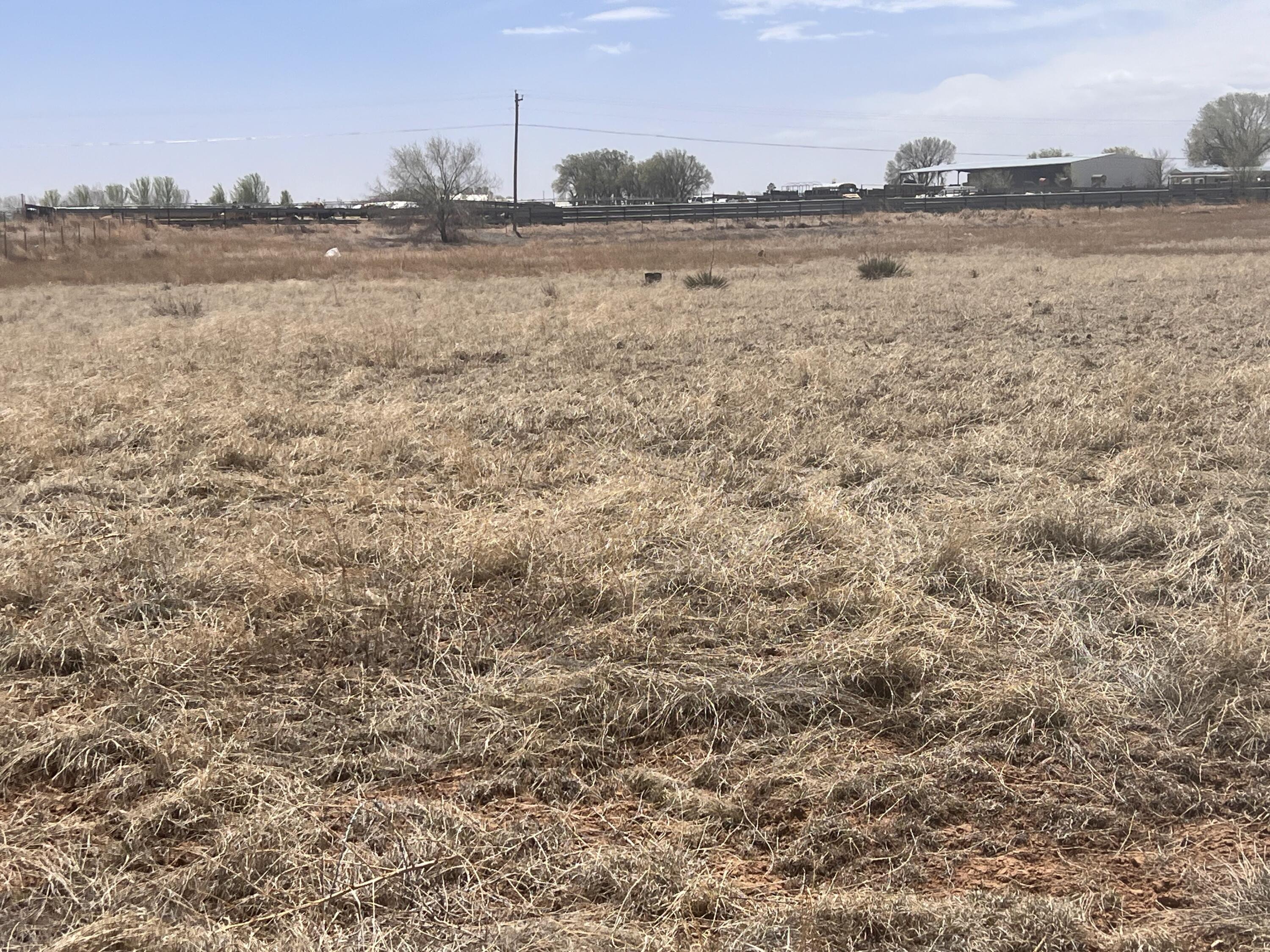 Capitan - Lot 32, Moriarty, New Mexico image 5