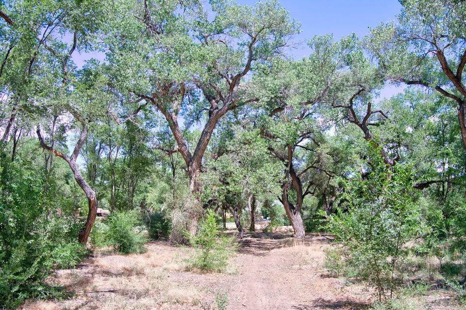 Bosque Oculto Lot B1-C