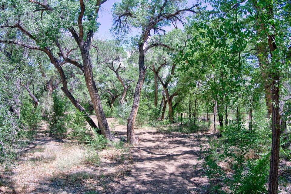 Bosque Oculto Lot B1-C