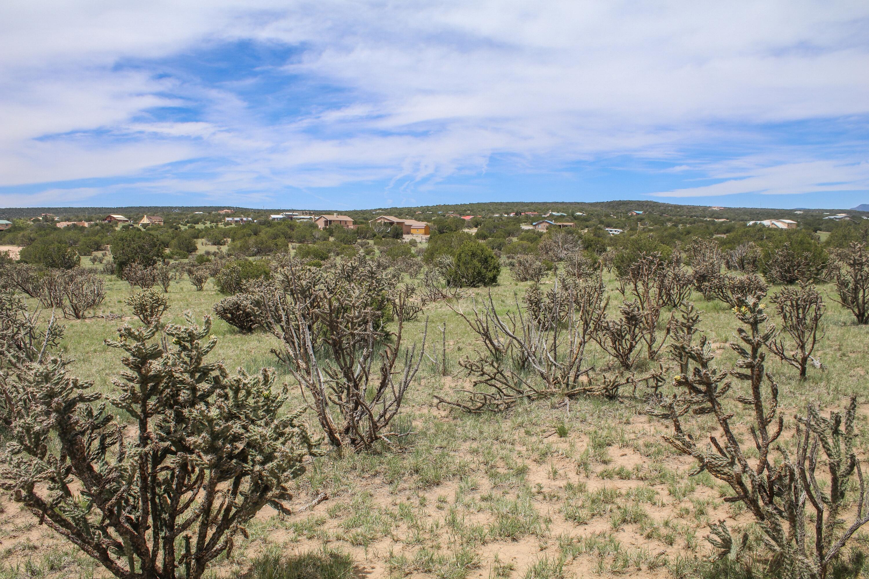 5 Taluca Court, Edgewood, New Mexico image 2