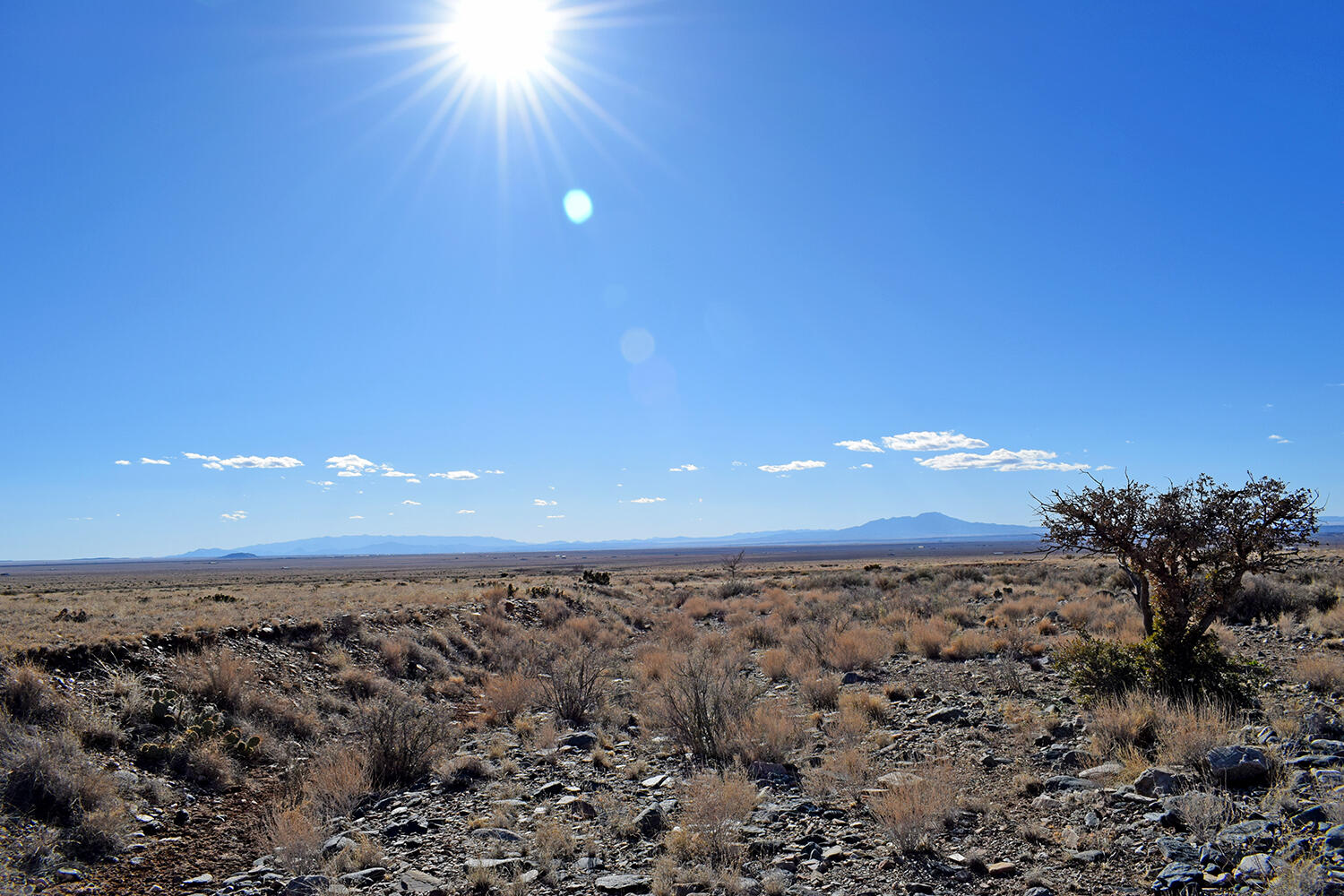 Lot 6 Canyon Del Rio #11, Belen, New Mexico image 19