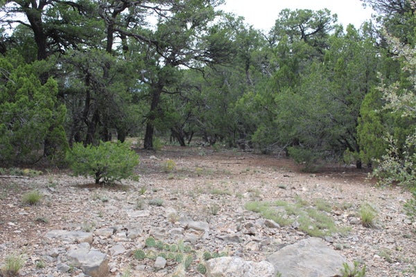 3 MANZANO LOOP, TIJERAS, NM 87059 - Image 488ccd7da9ca2697fdac1ca4dcd3992b/3134513541