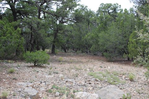 Vacant Land For Sale - 3 Manzano Loop<br/> Tijeras, NM 87059