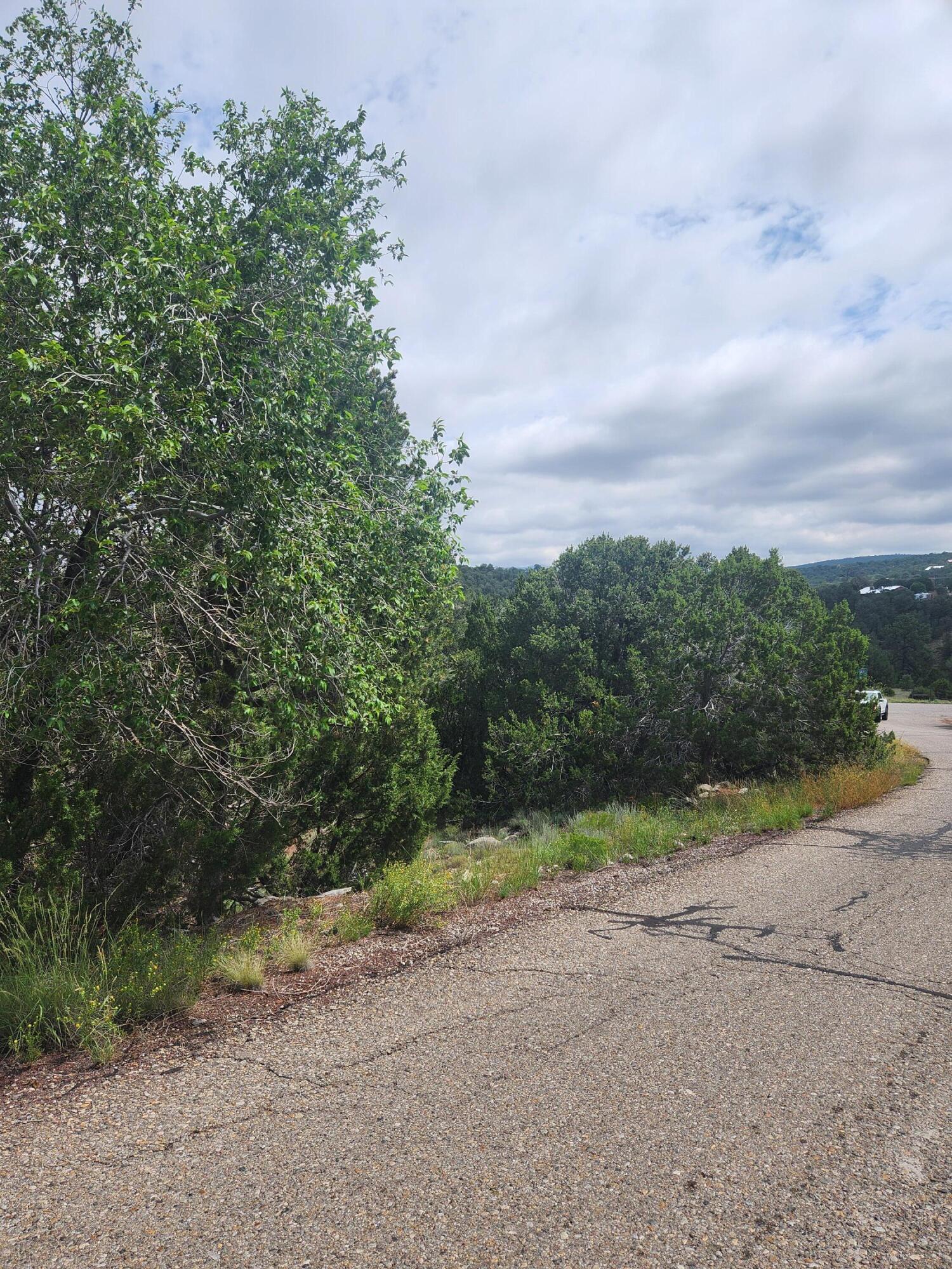 Avenida Allegra, Tijeras, New Mexico image 1