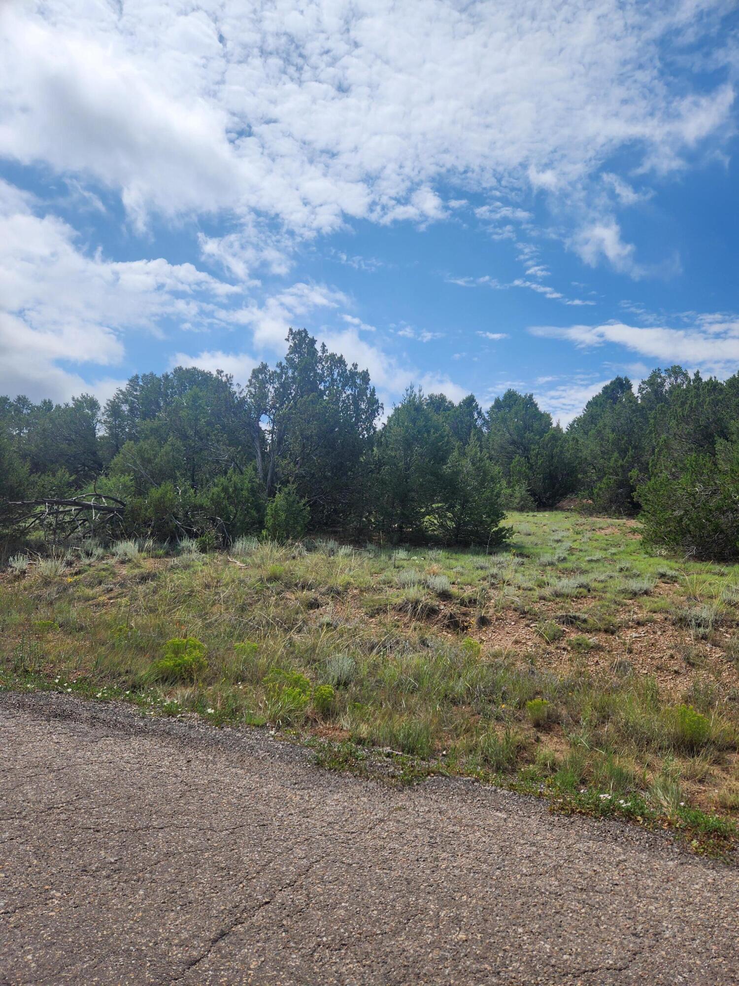 Avenida Allegra, Tijeras, New Mexico image 2