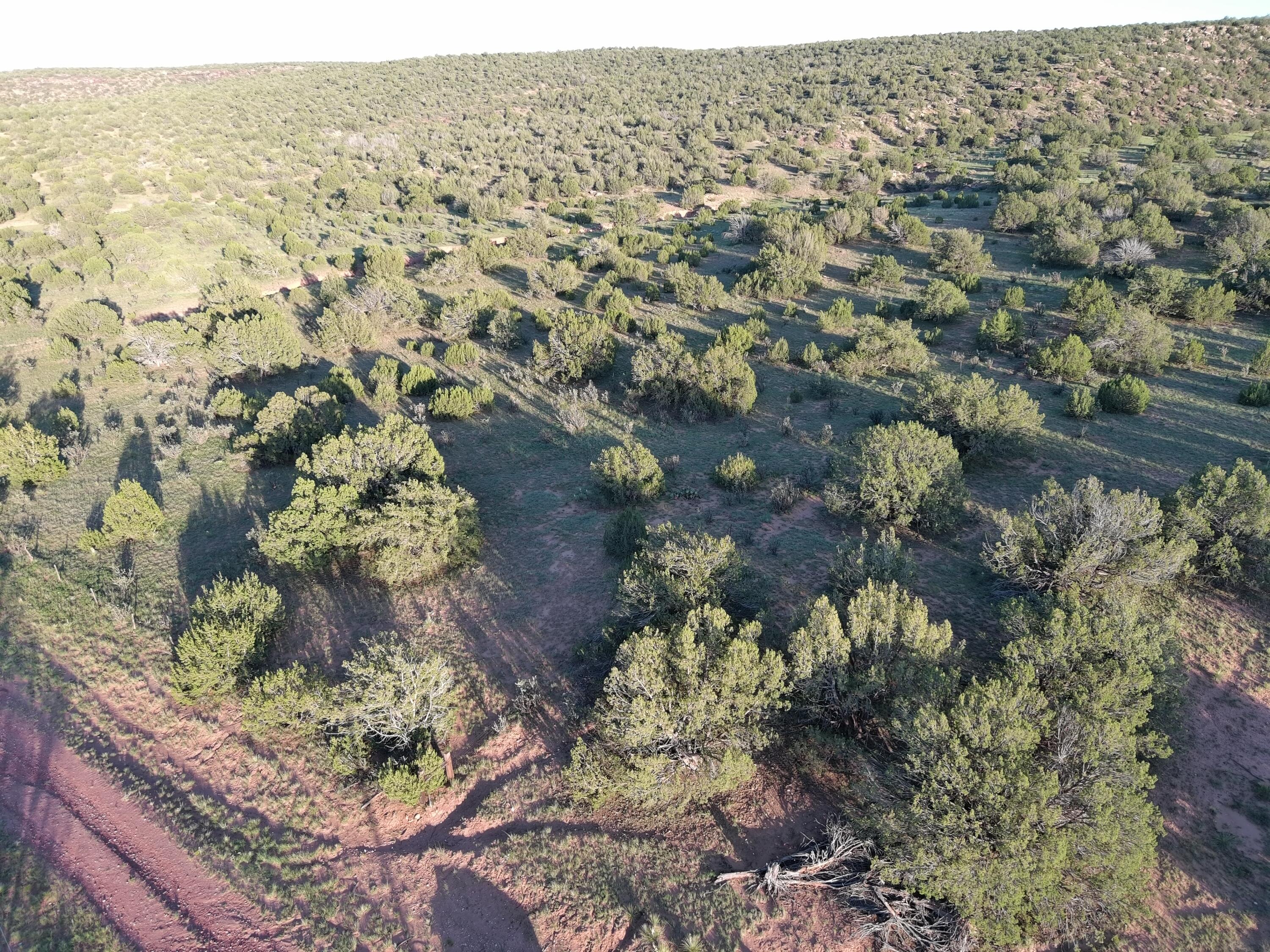 15 Pintada Ranch Road, Santa Rosa, New Mexico image 14