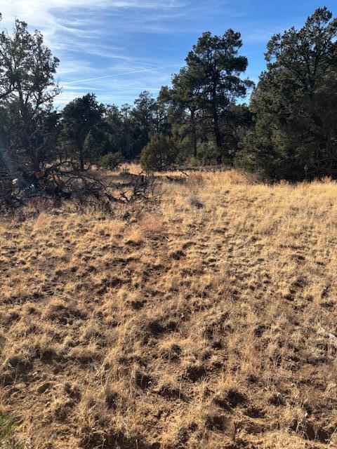 Rocky Knoll Ln Unit 92 Lot 228, Cubero, New Mexico image 3