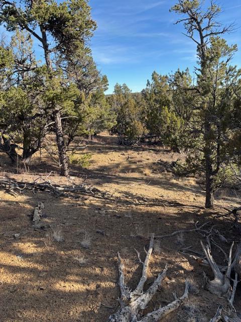 Rocky Knoll Ln Unit 92 Lot 228, Cubero, New Mexico image 1