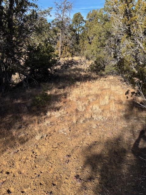 Rocky Knoll Ln Unit 92 Lot 228, Cubero, New Mexico image 2