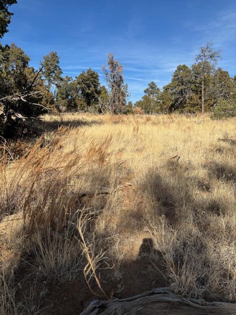 Rocky Knoll Ln Unit 92 Lot 228, Cubero, New Mexico image 5